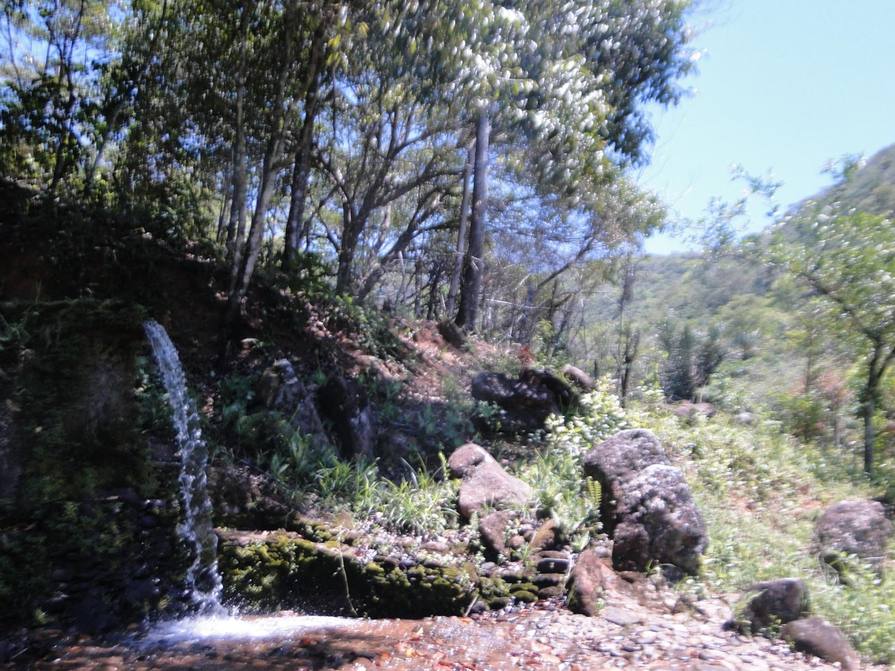 Fazenda Tapinuã