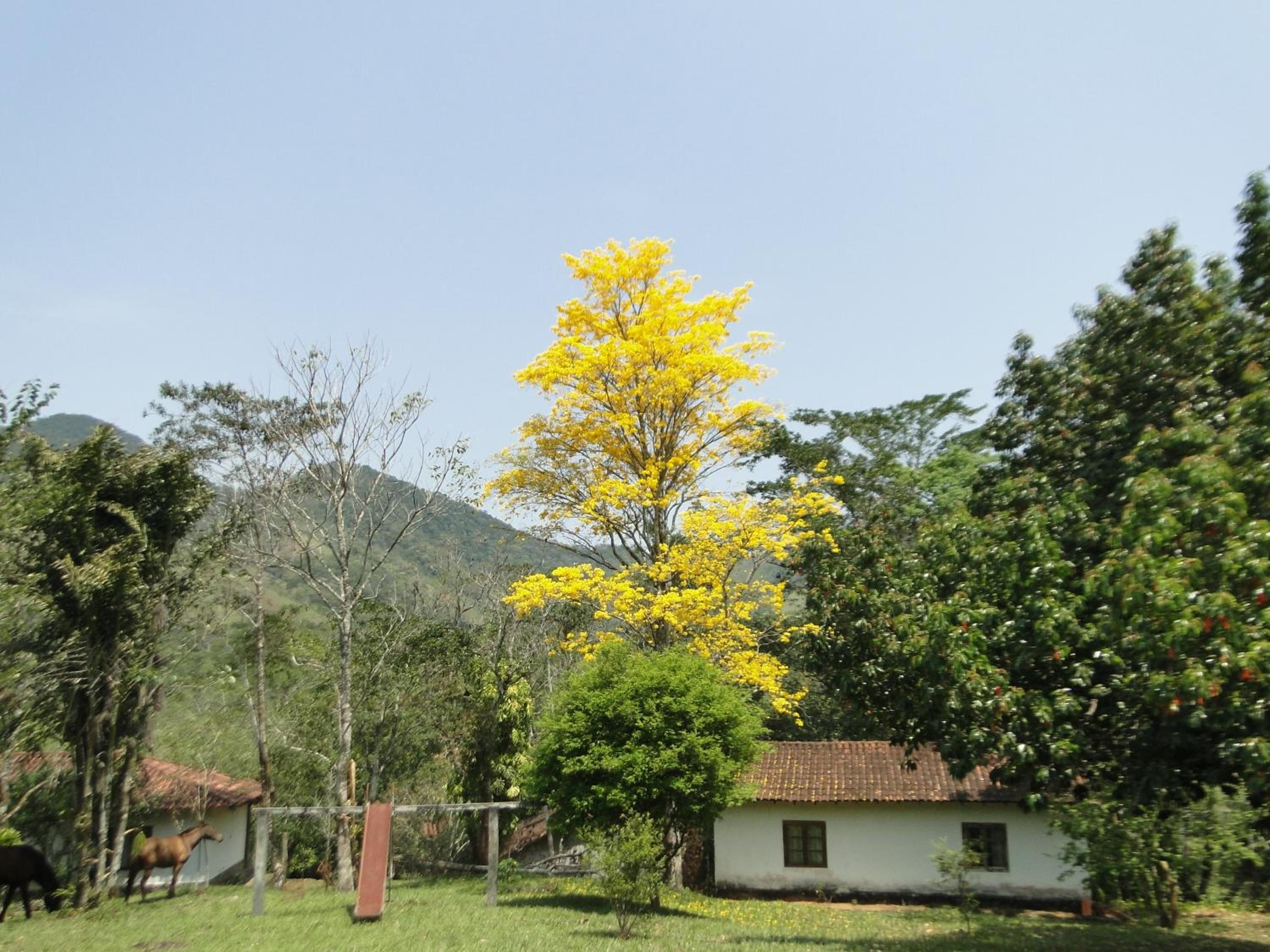 Fazenda Tapinuã