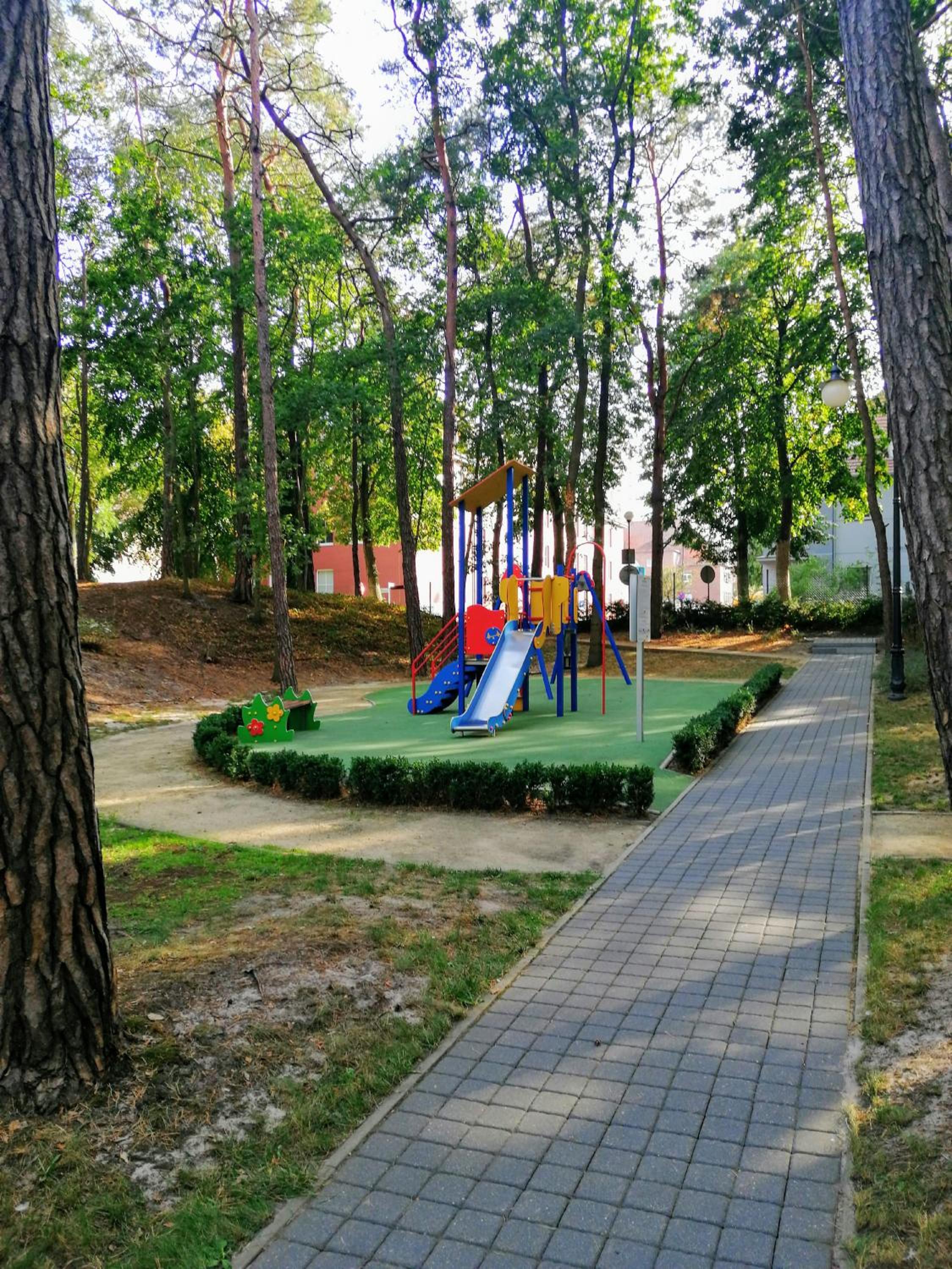 Photo 21