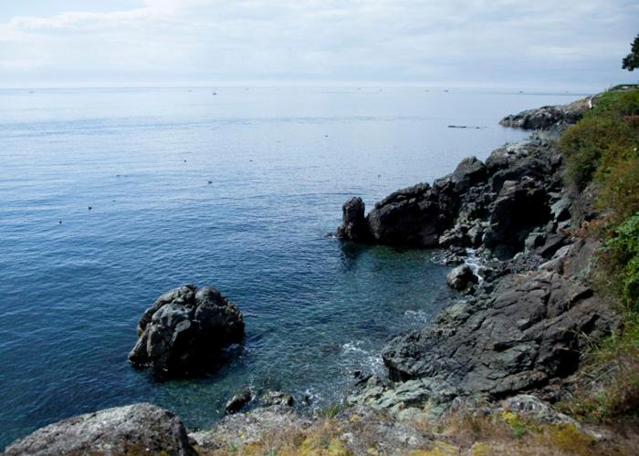 Sooke Vacations - Marge's Manor - Property Image 16