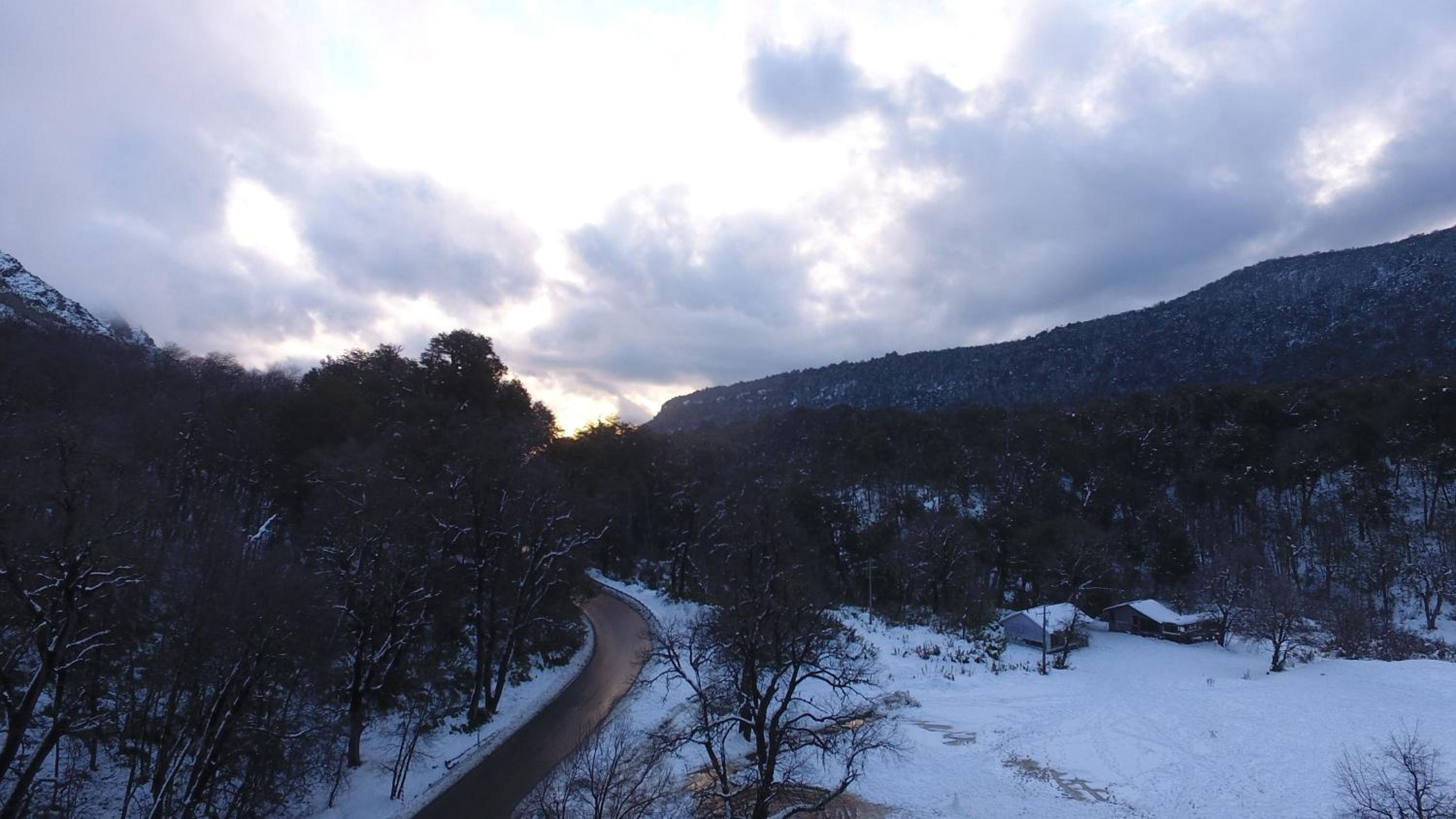 Photo 43