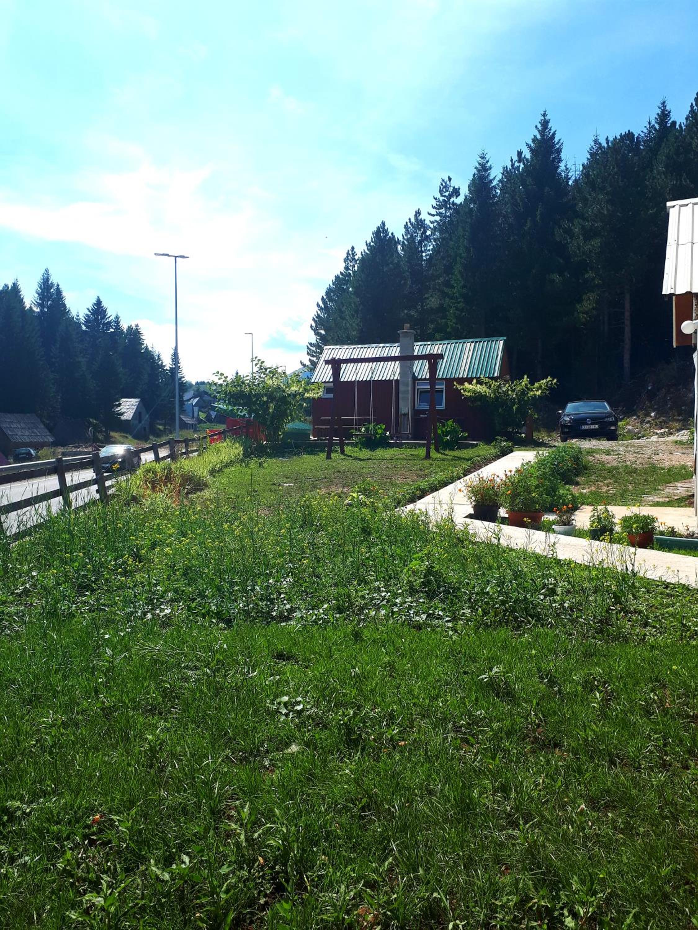 Photo 7