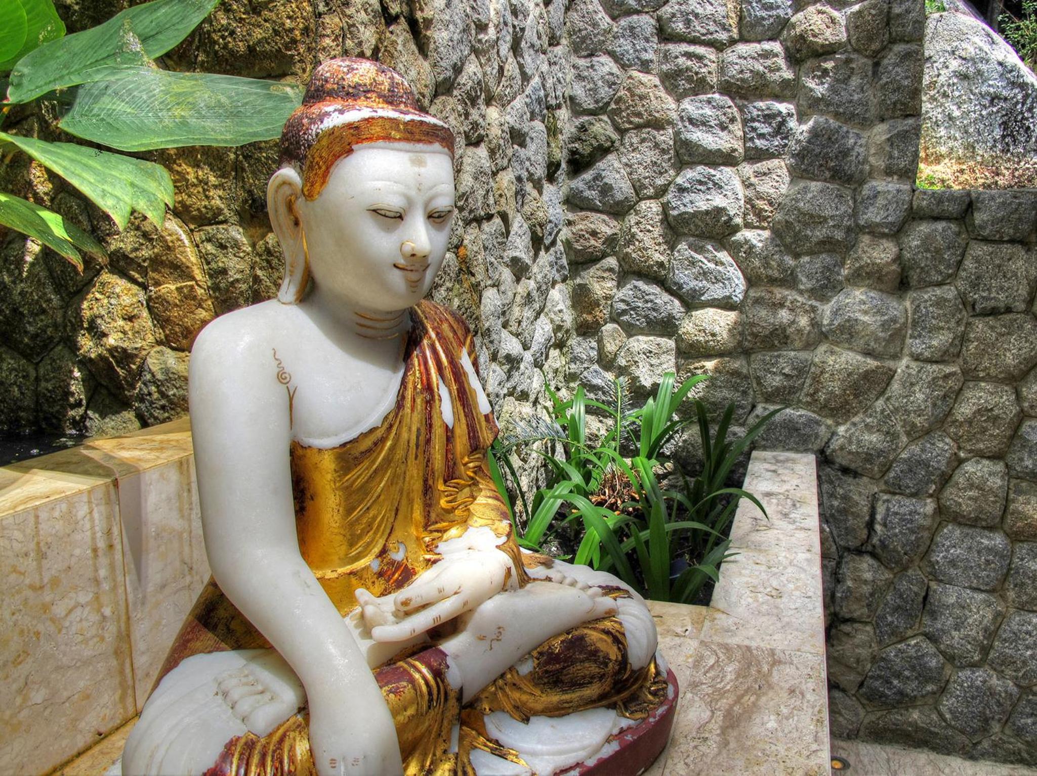 Photo 44