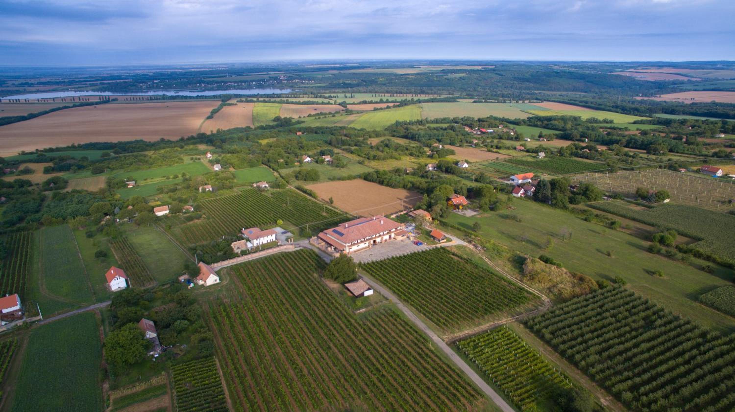Ebner Pince - Panzió view 5