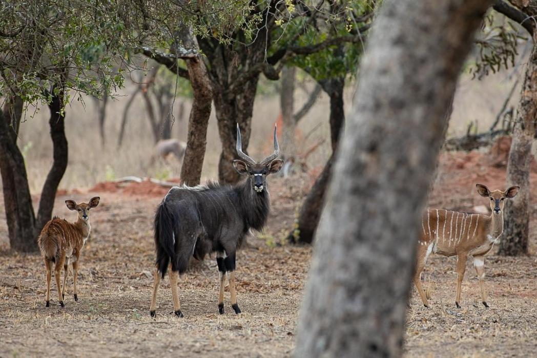 Kiyala Guest Farm view 5