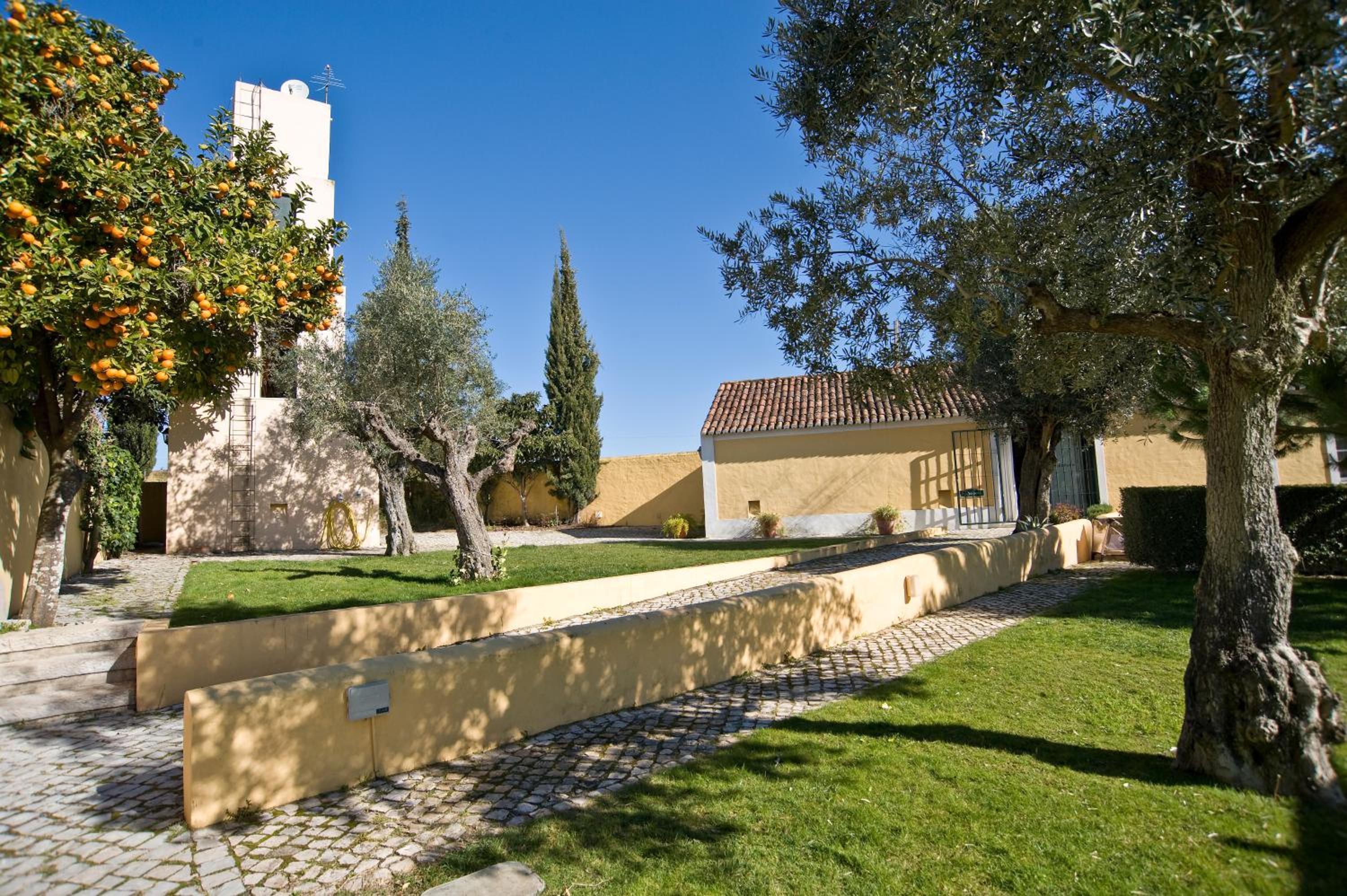 Photo 33