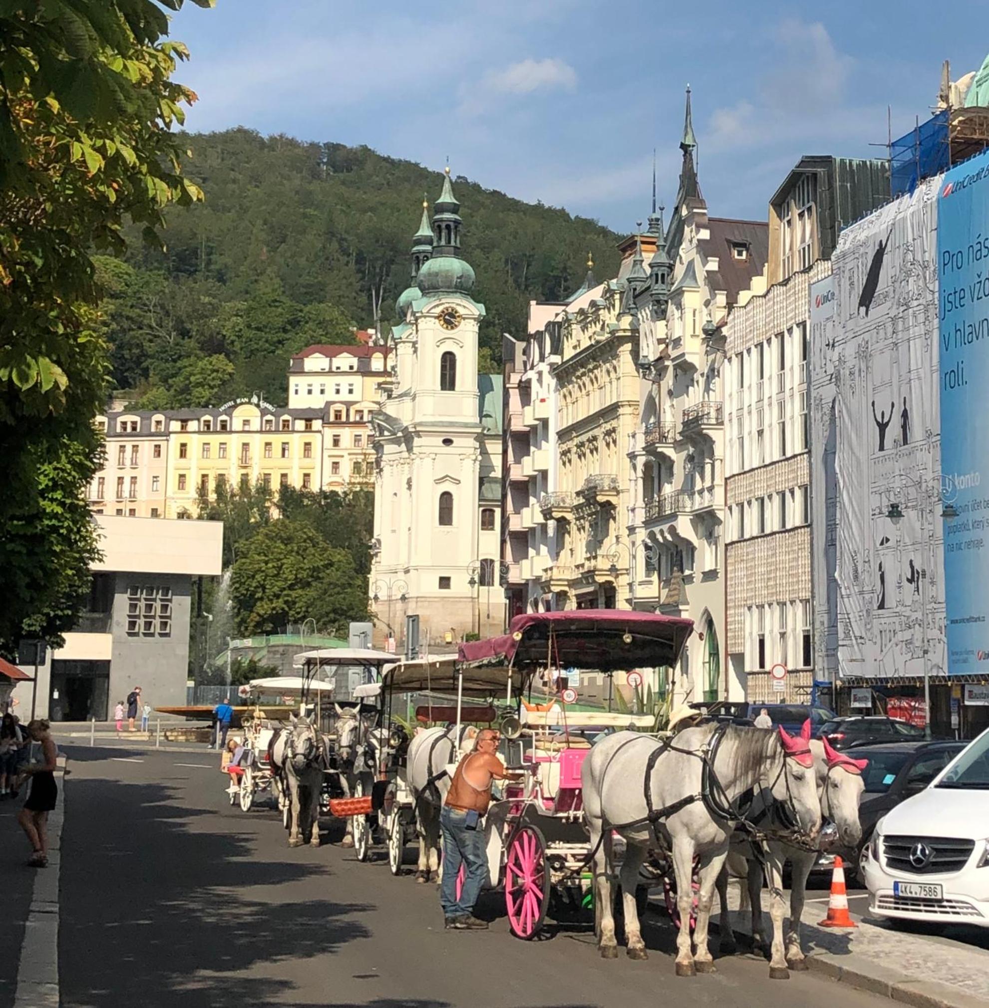 Apartmán Orchidej u Vřídla