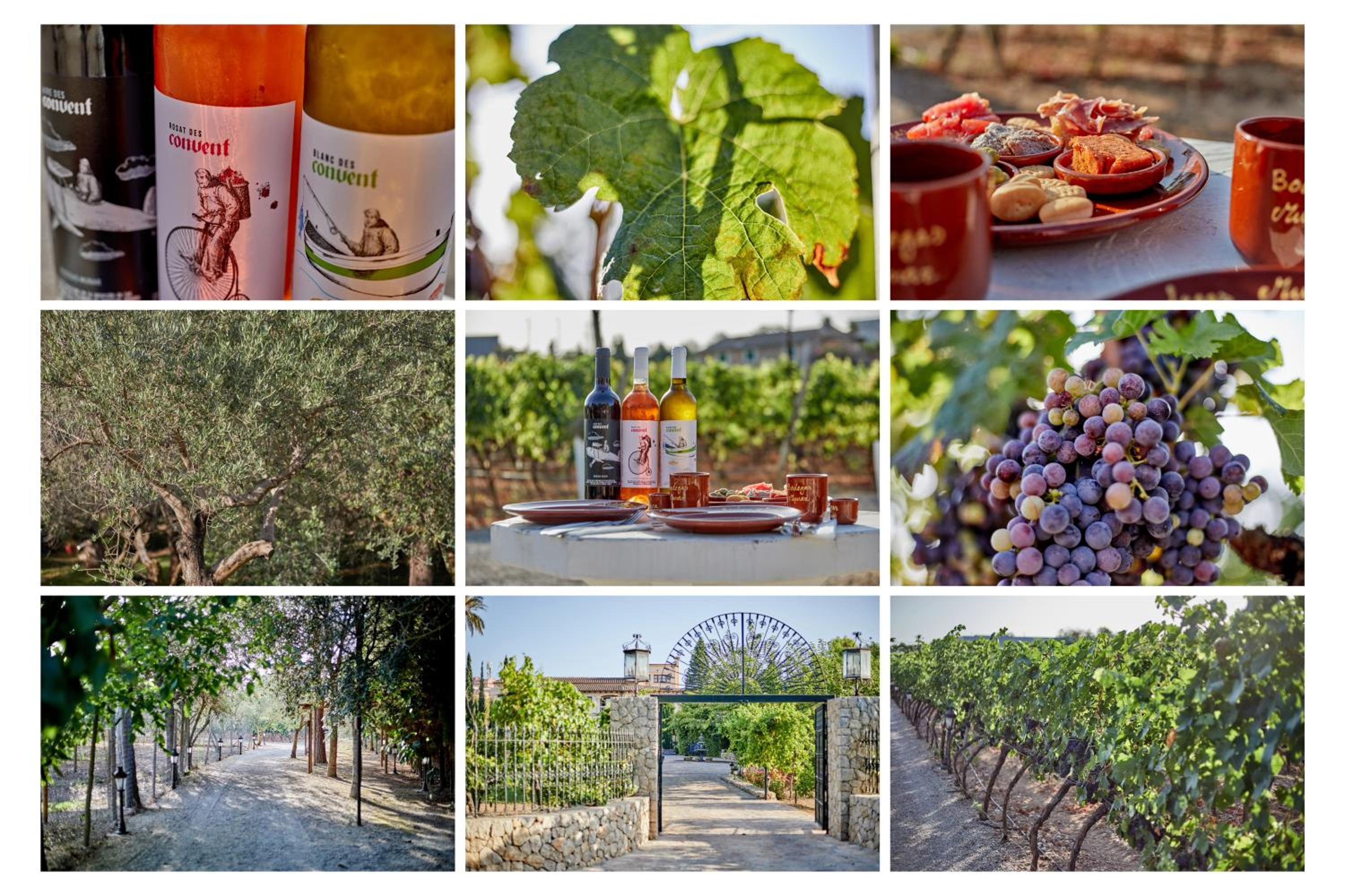 Agroturismo Sa Vinya des Convent