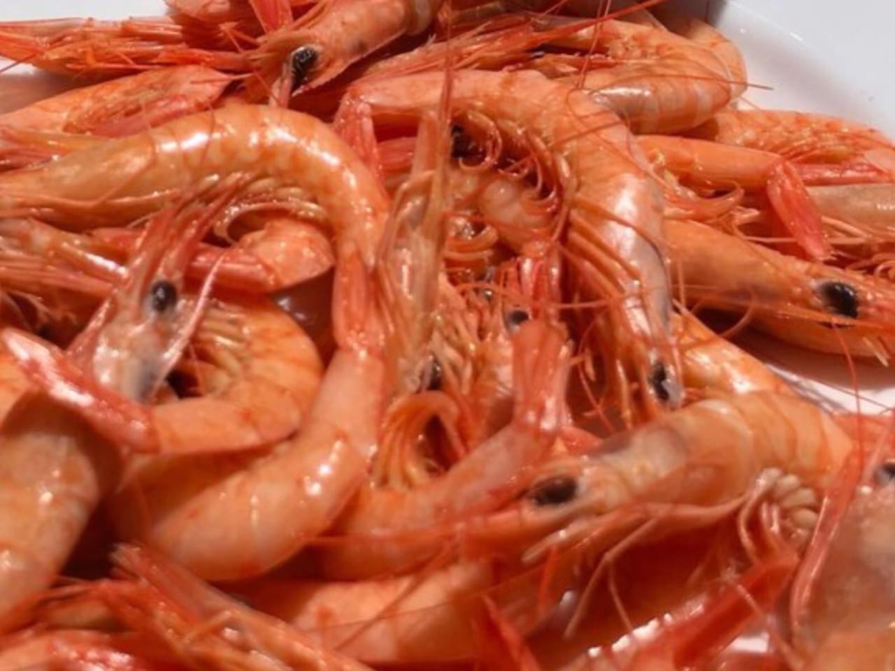 playa sin aglomeraciones, tarifas especiales cerca de Puerto Banús