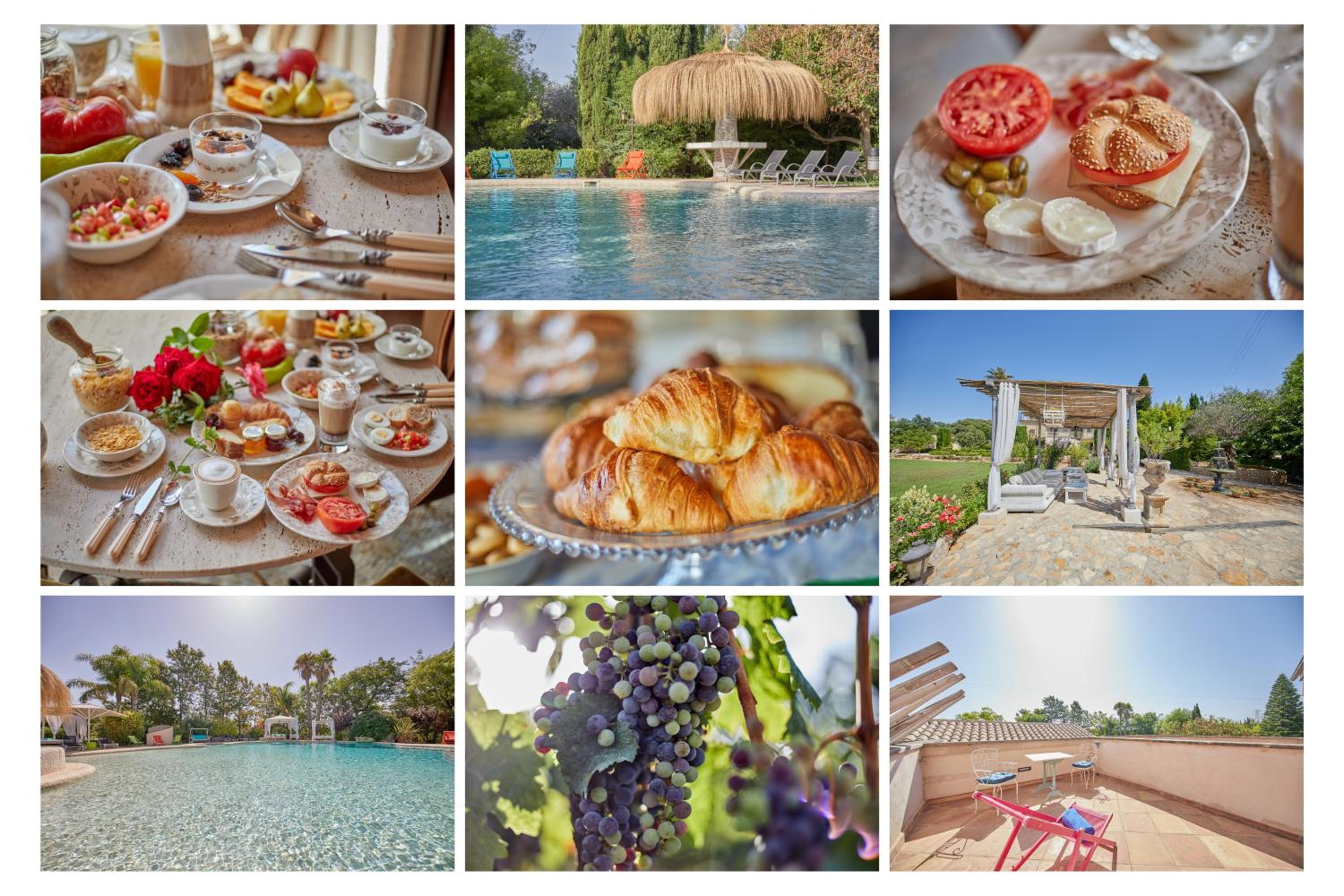 Agroturismo Sa Vinya des Convent