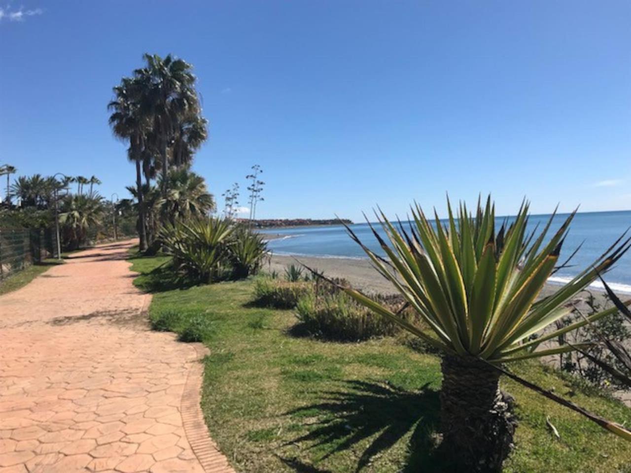 playa sin aglomeraciones, tarifas especiales cerca de Puerto Banús