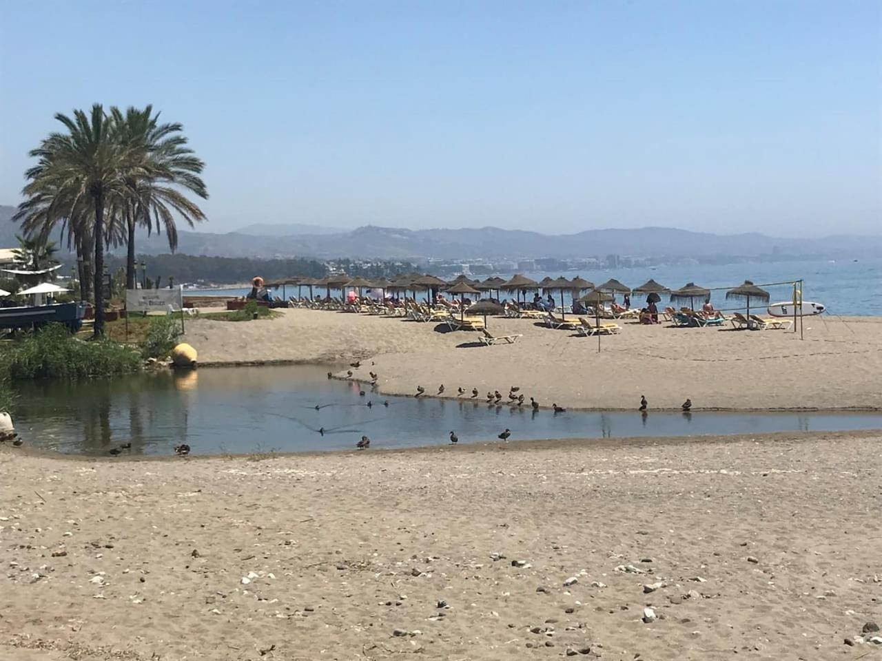 playa sin aglomeraciones, tarifas especiales cerca de Puerto Banús