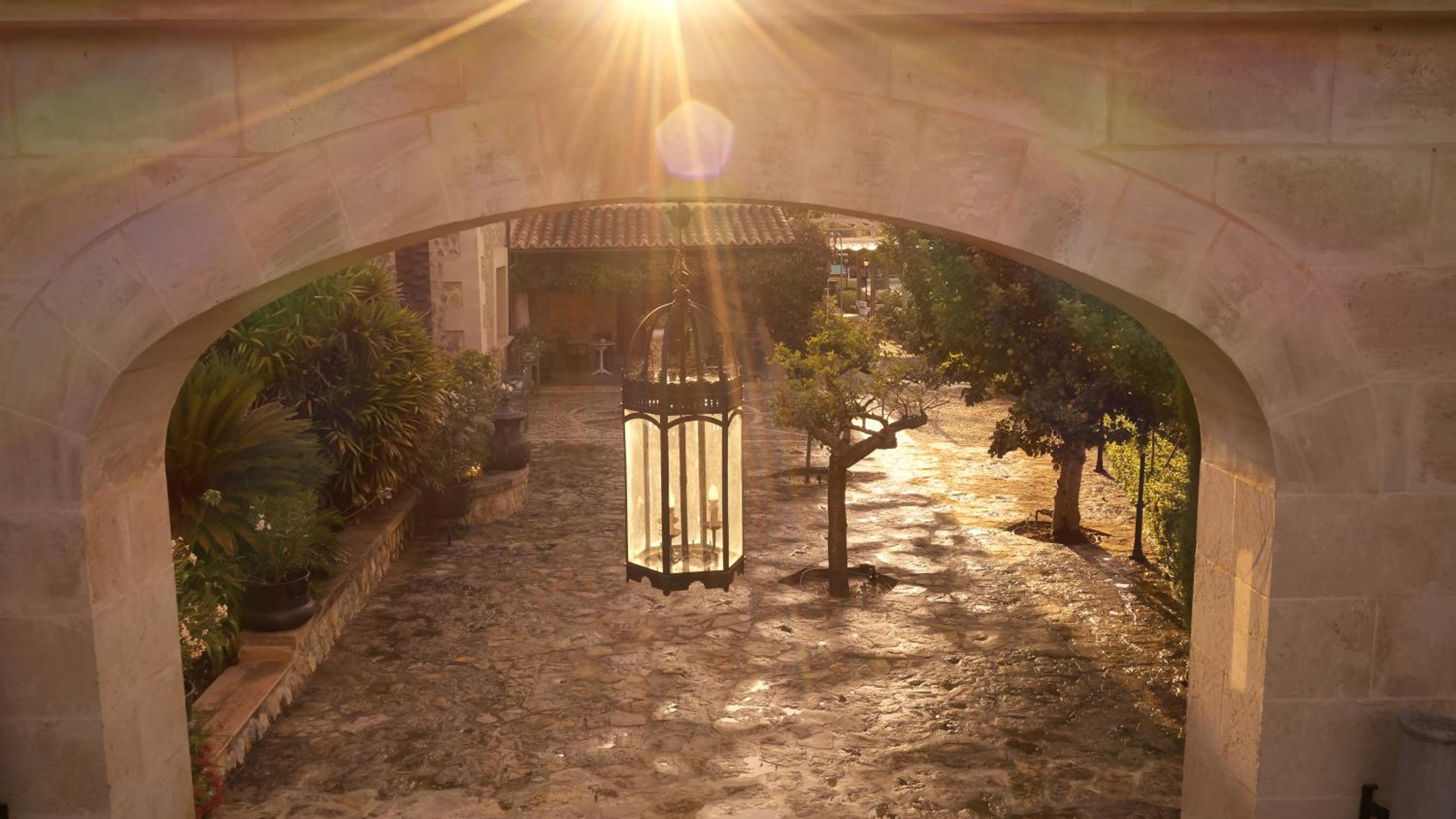 Agroturismo Sa Vinya des Convent