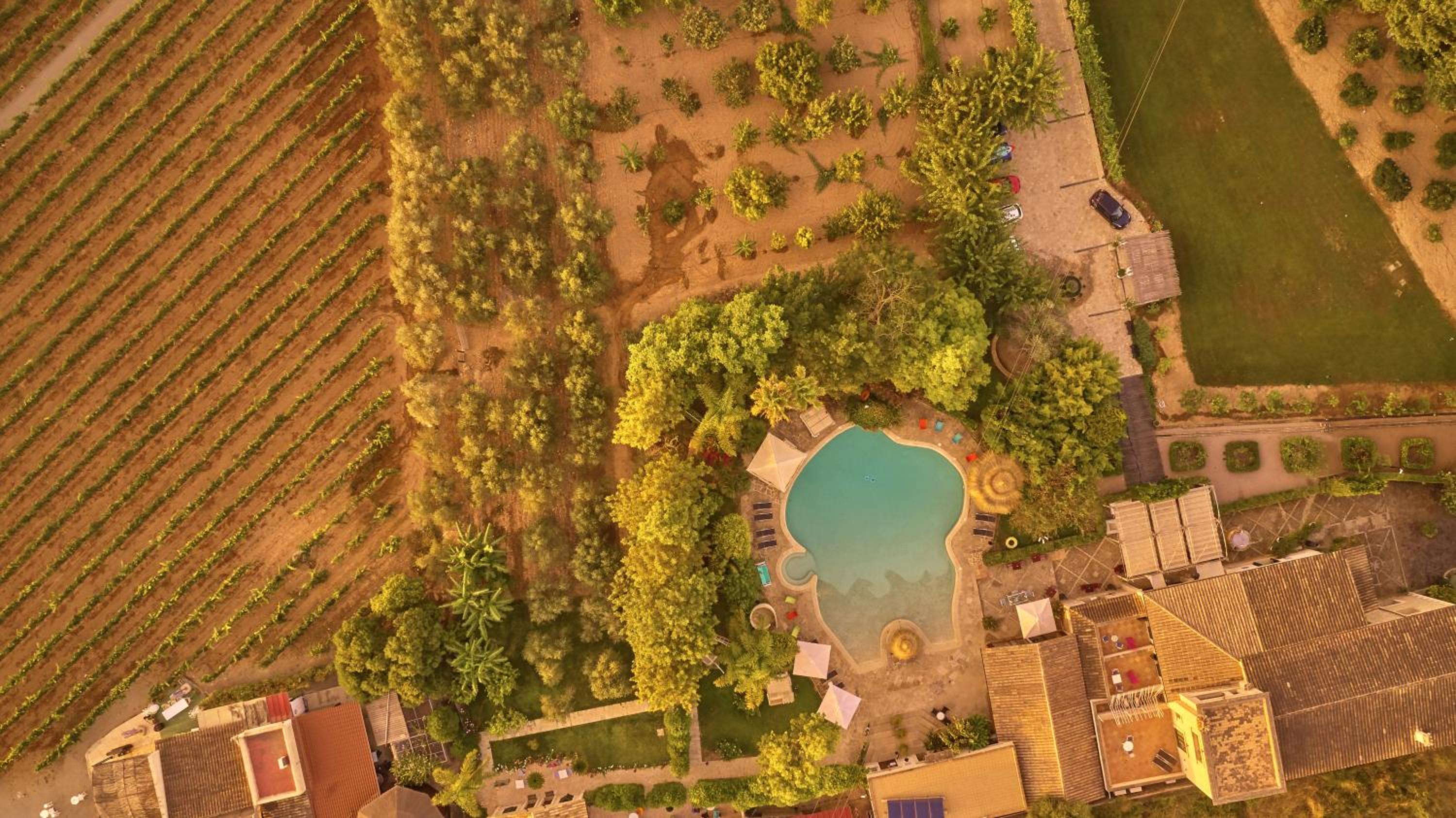 Agroturismo Sa Vinya des Convent