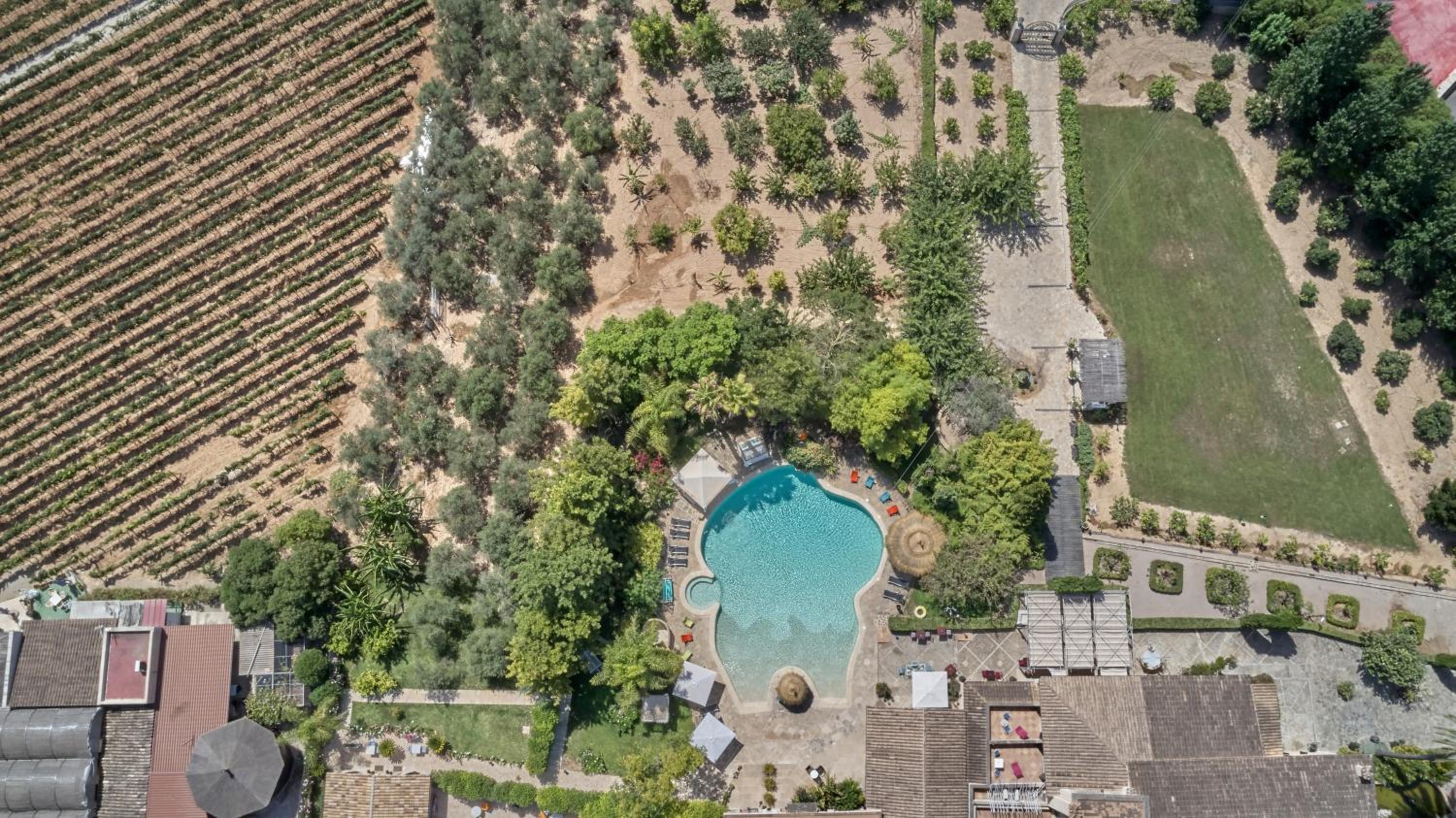 Agroturismo Sa Vinya des Convent