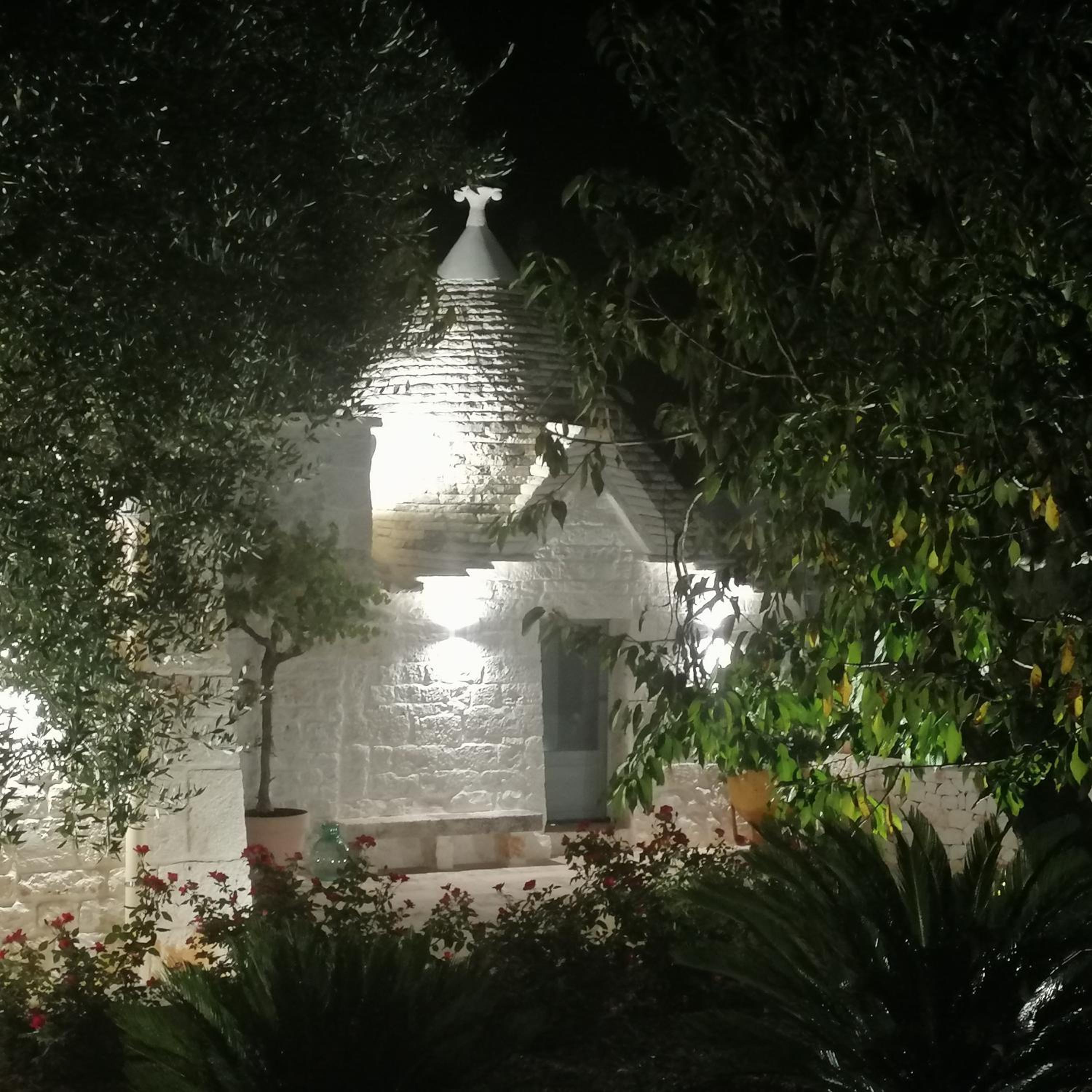 Photo 36