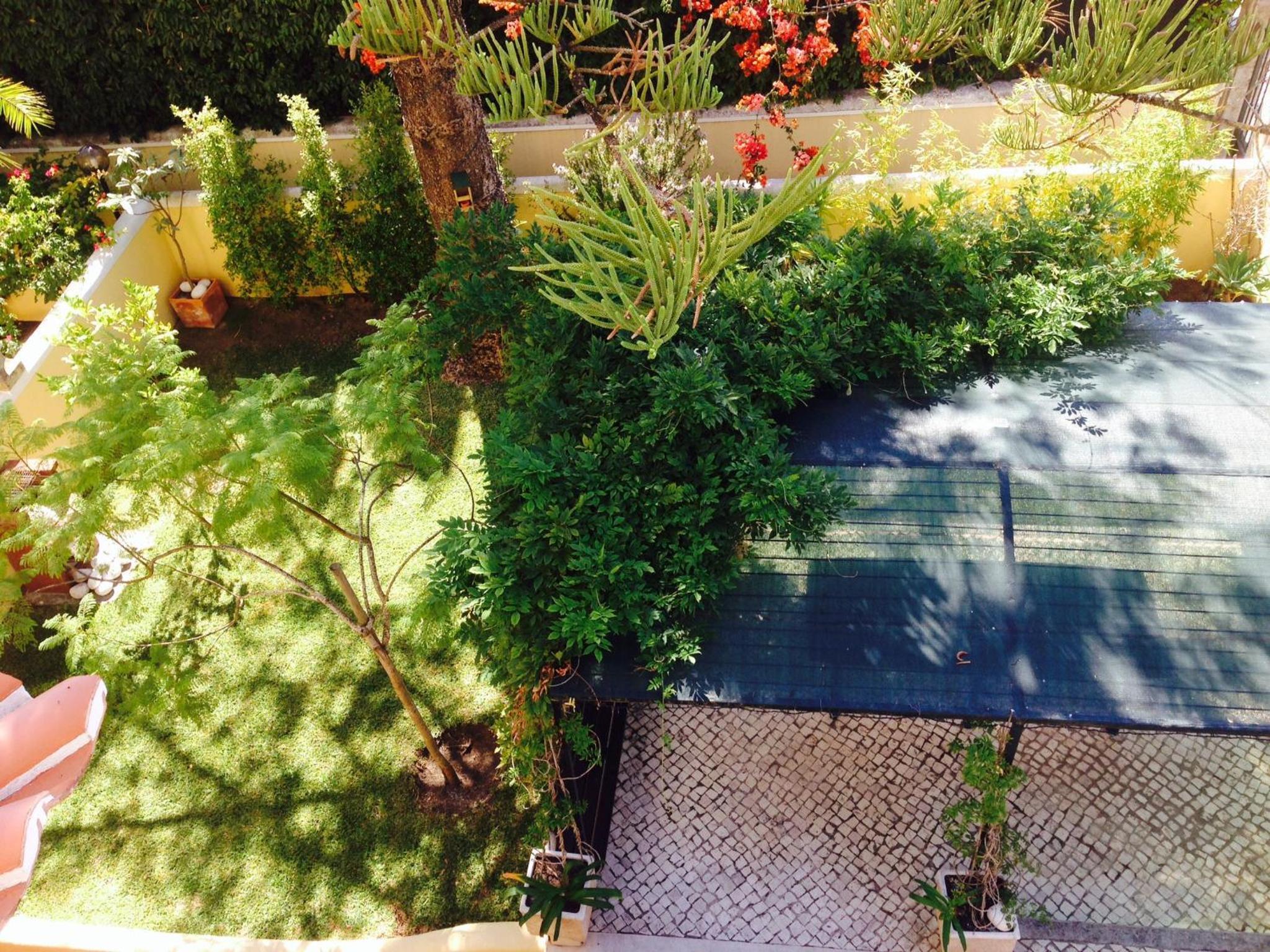 Photo 26