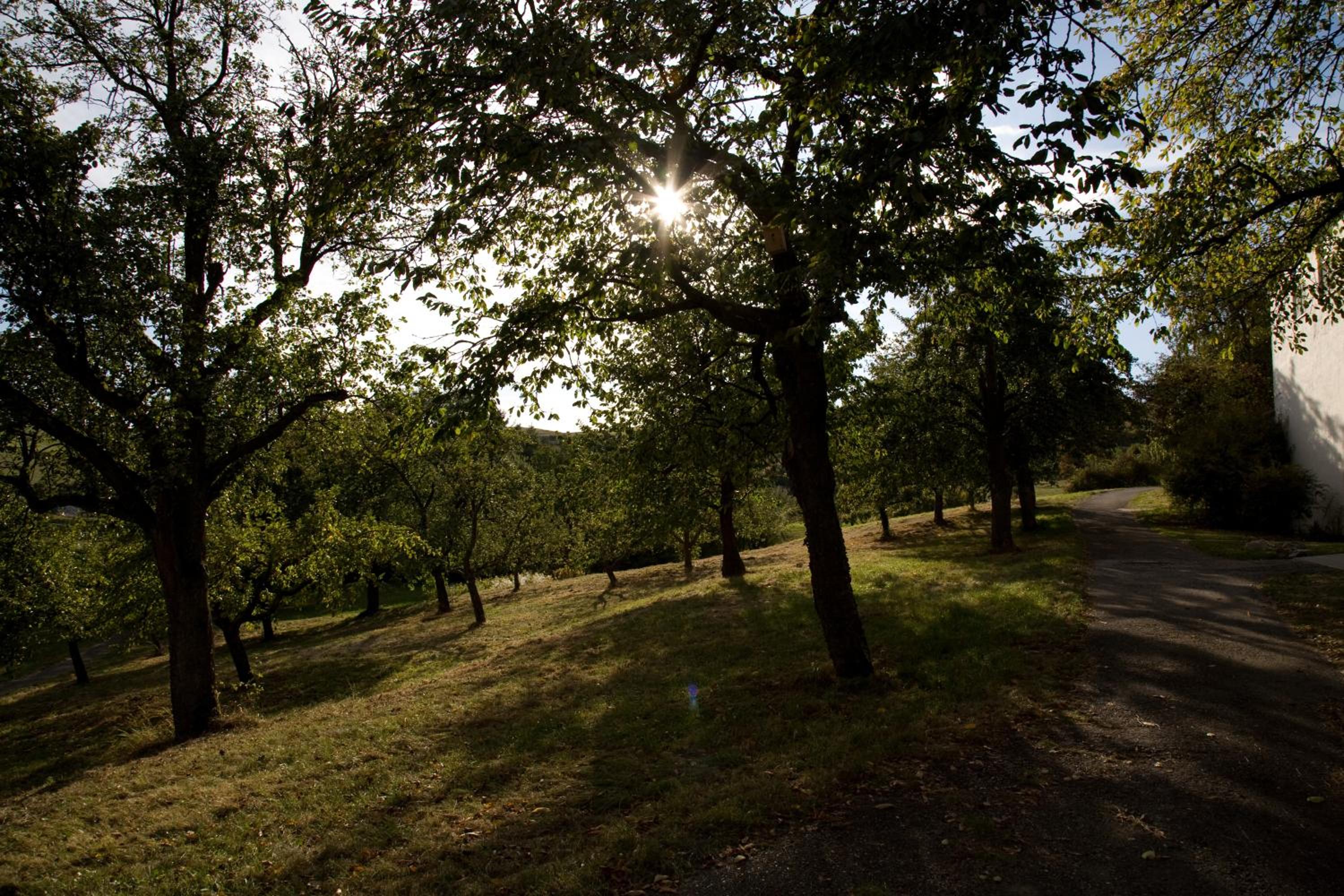 Engelhard Das Landhotel Garni - Property Image 12