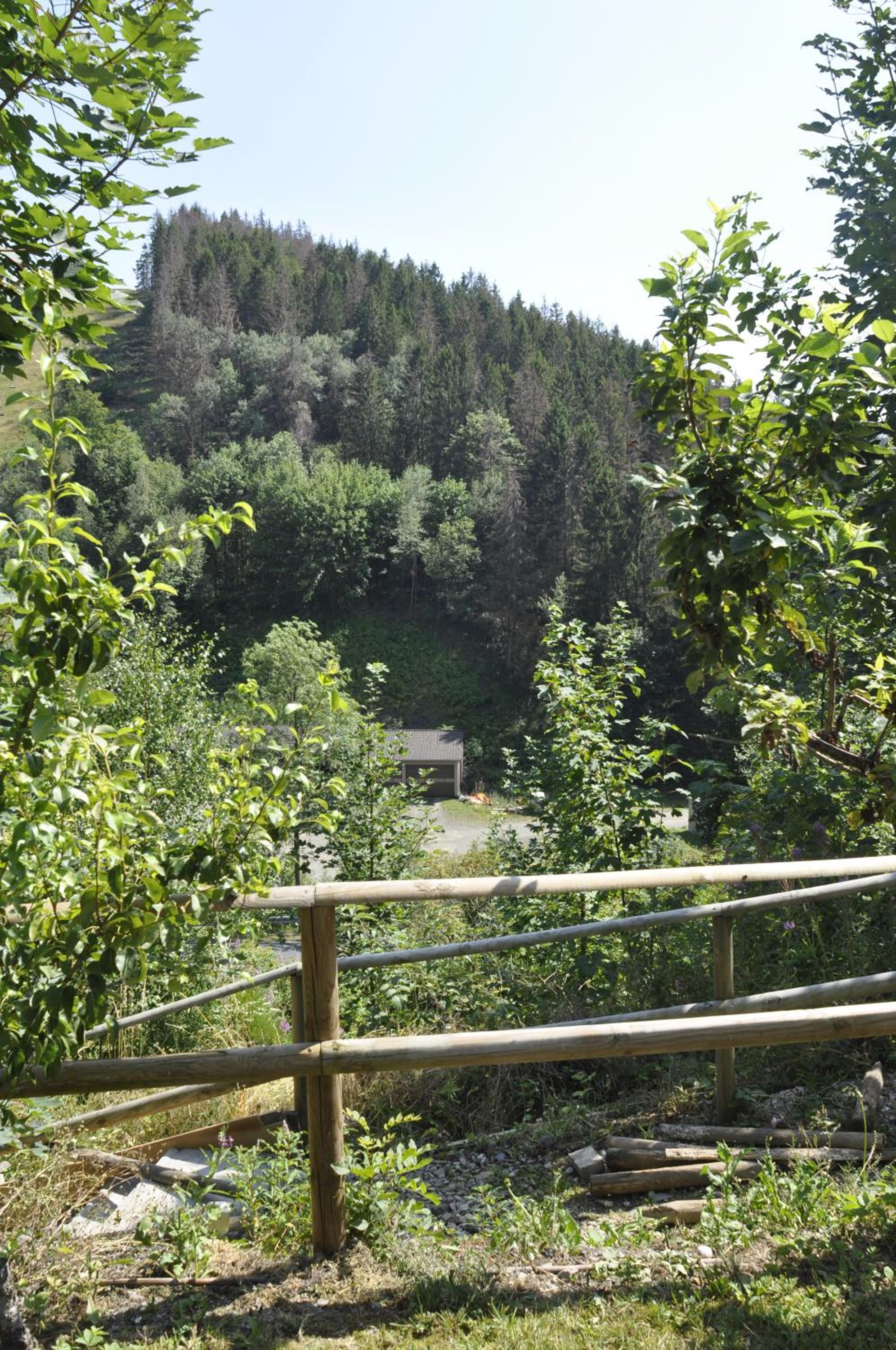 Photo 11