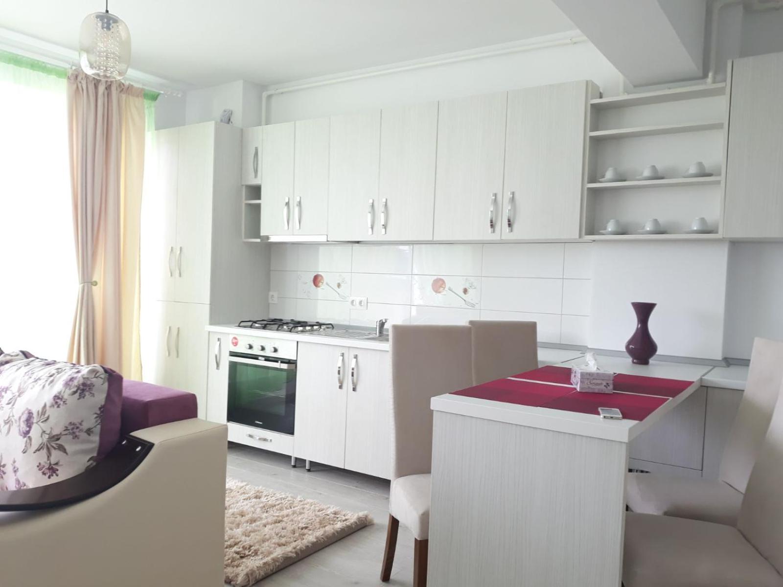 Apartament Coresi view 3