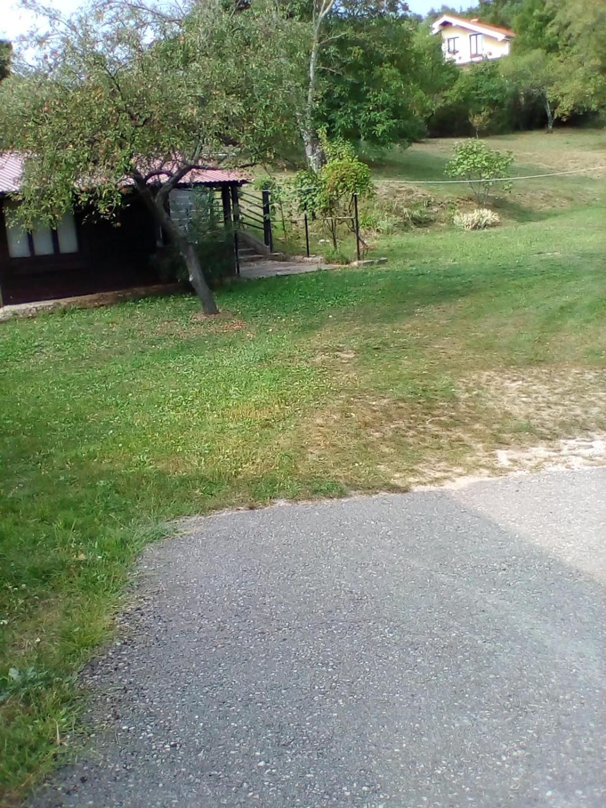 Photo 28