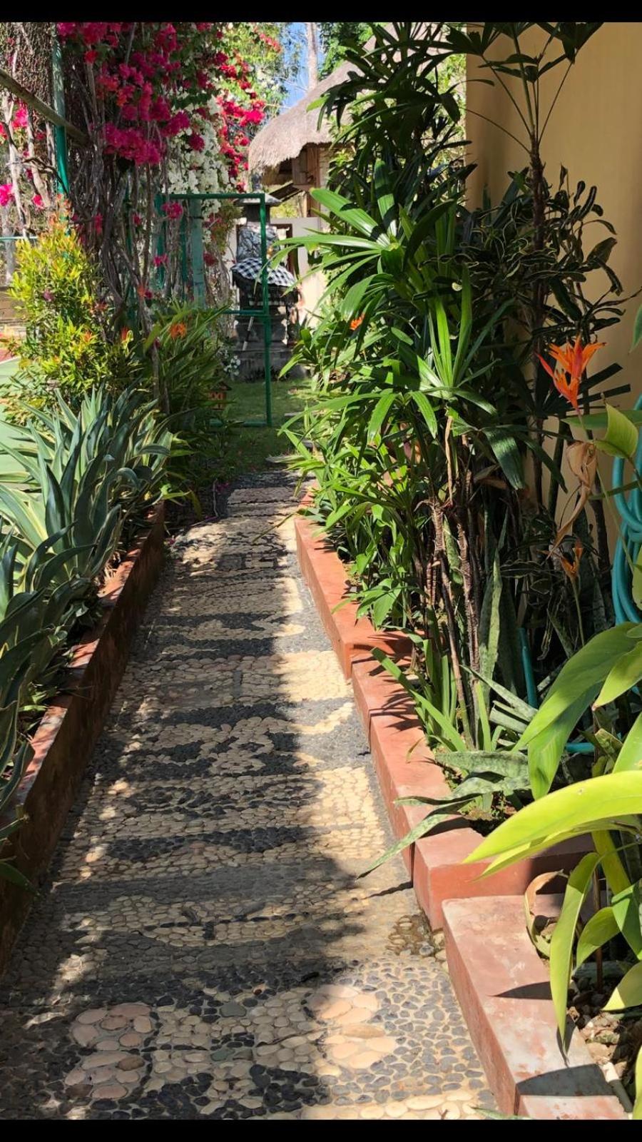 Villa Anjing