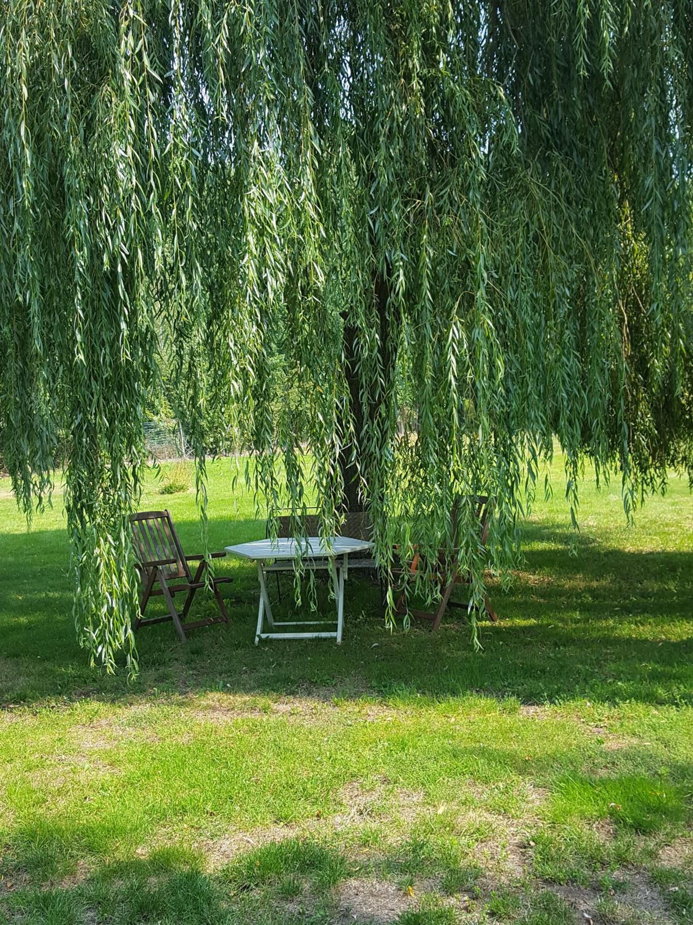De Stille Weier