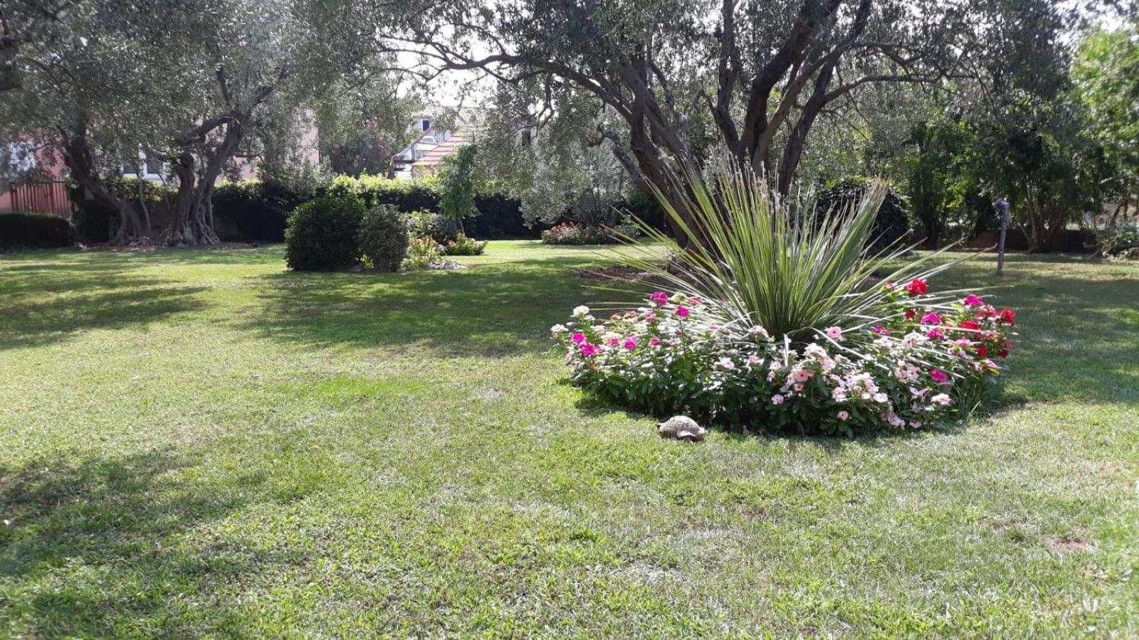 Apartmani Seka