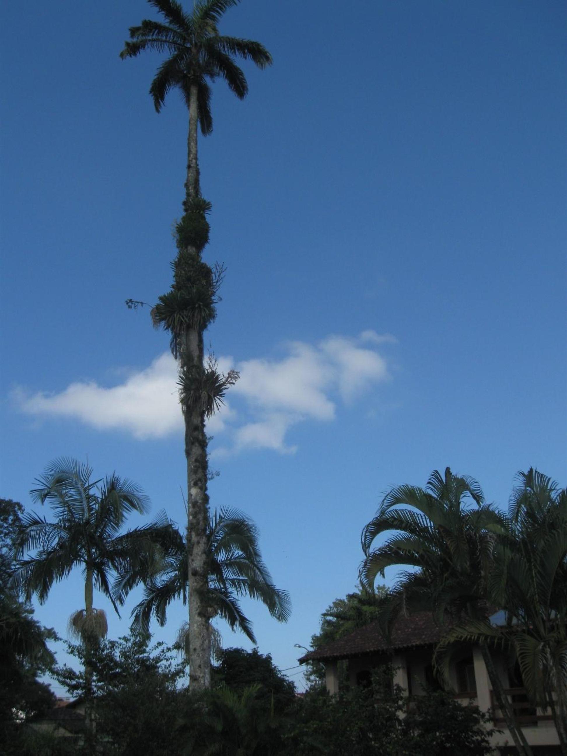 Photo 47