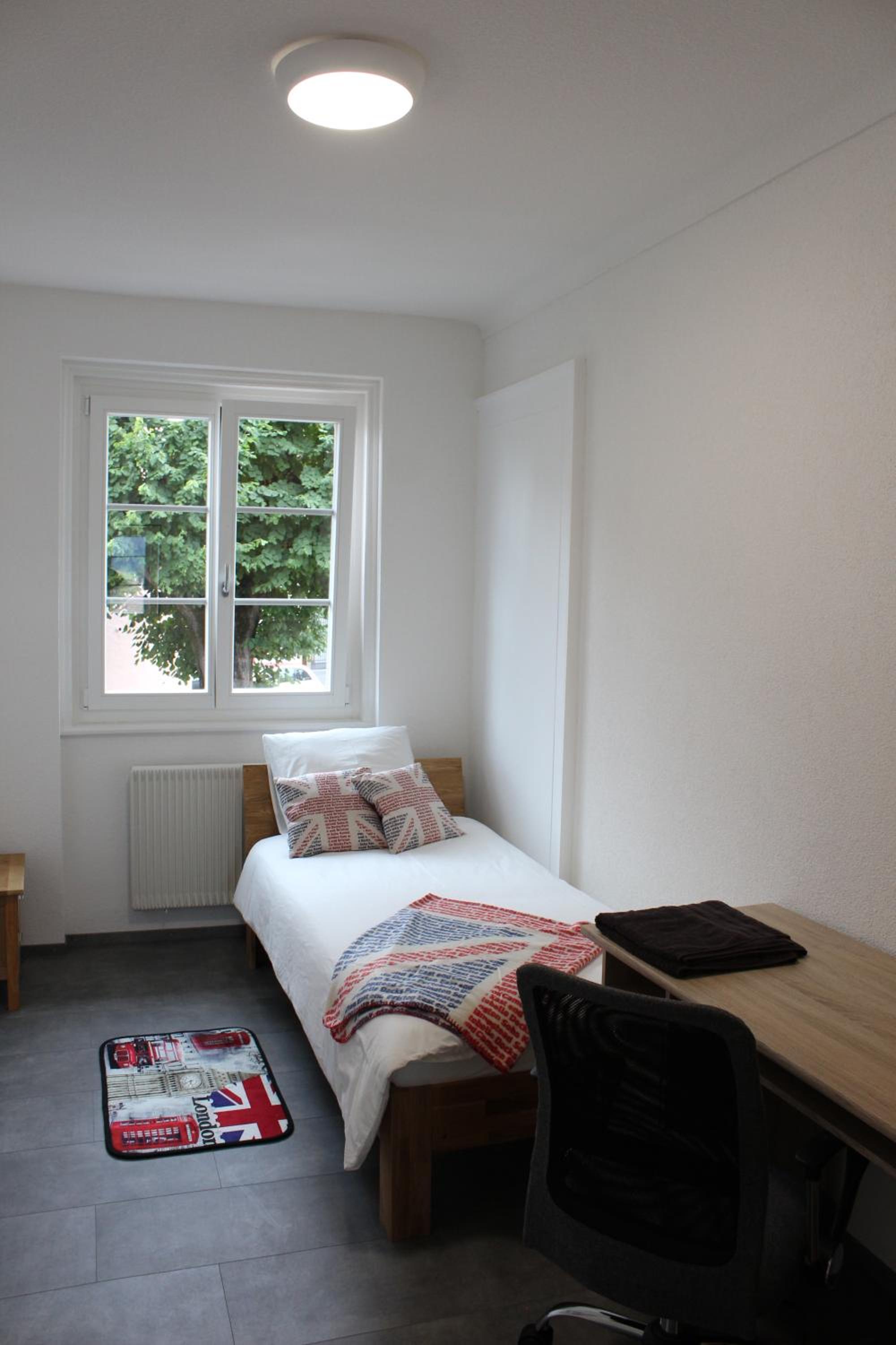 The 5 continents III - Premium appartment by Stay Swiss