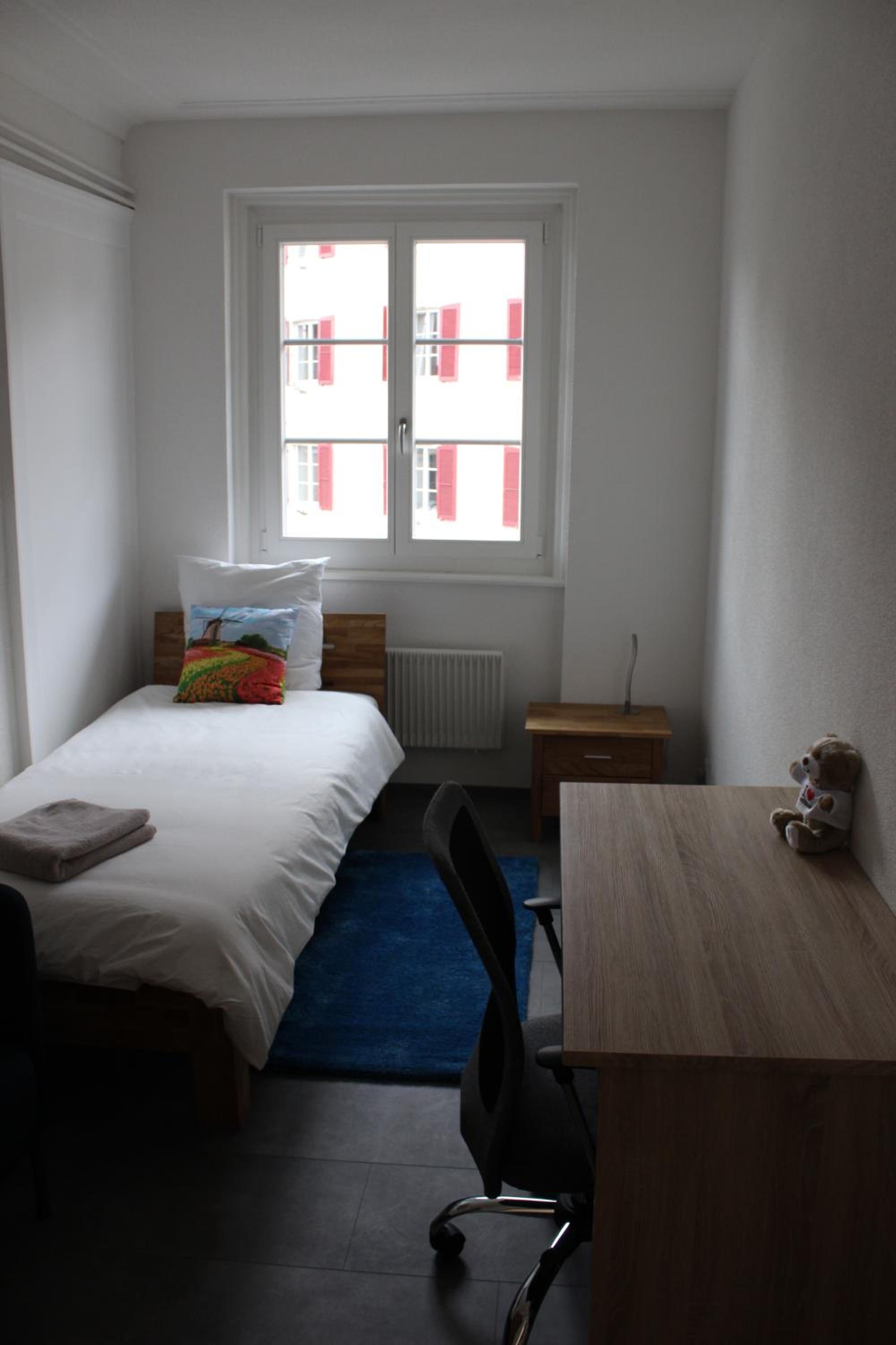 The 5 continents III - Premium appartment by Stay Swiss