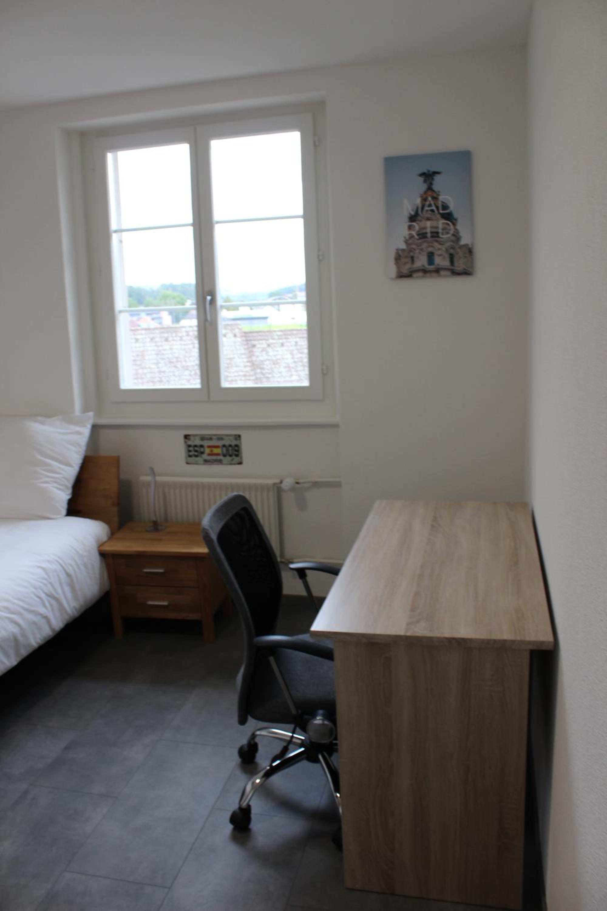 The 5 continents III - Premium appartment by Stay Swiss