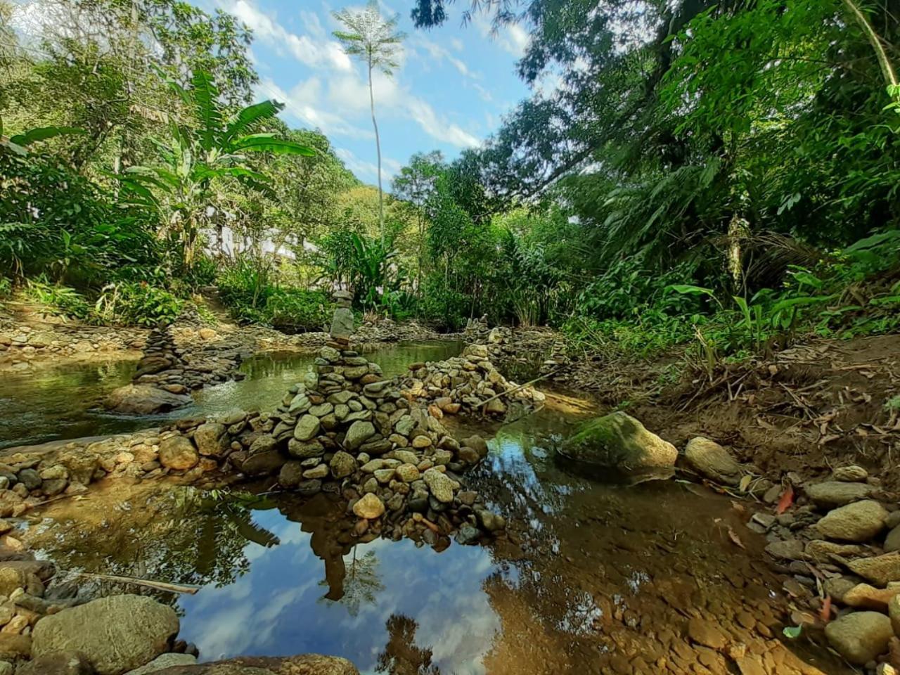 Casa Bacarirá - Floresta com Yoga e Café da Manhã Vegano