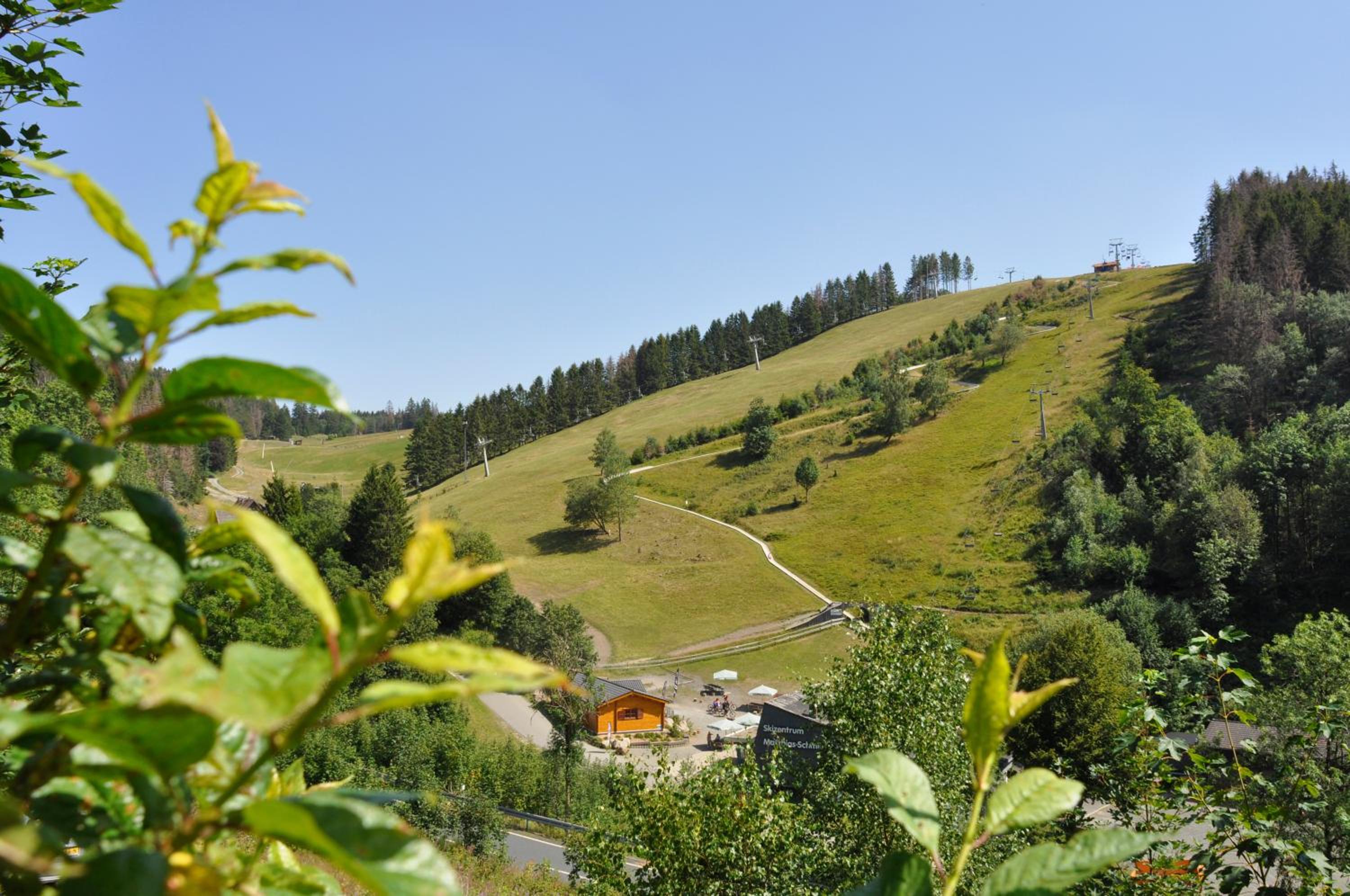 Photo 8