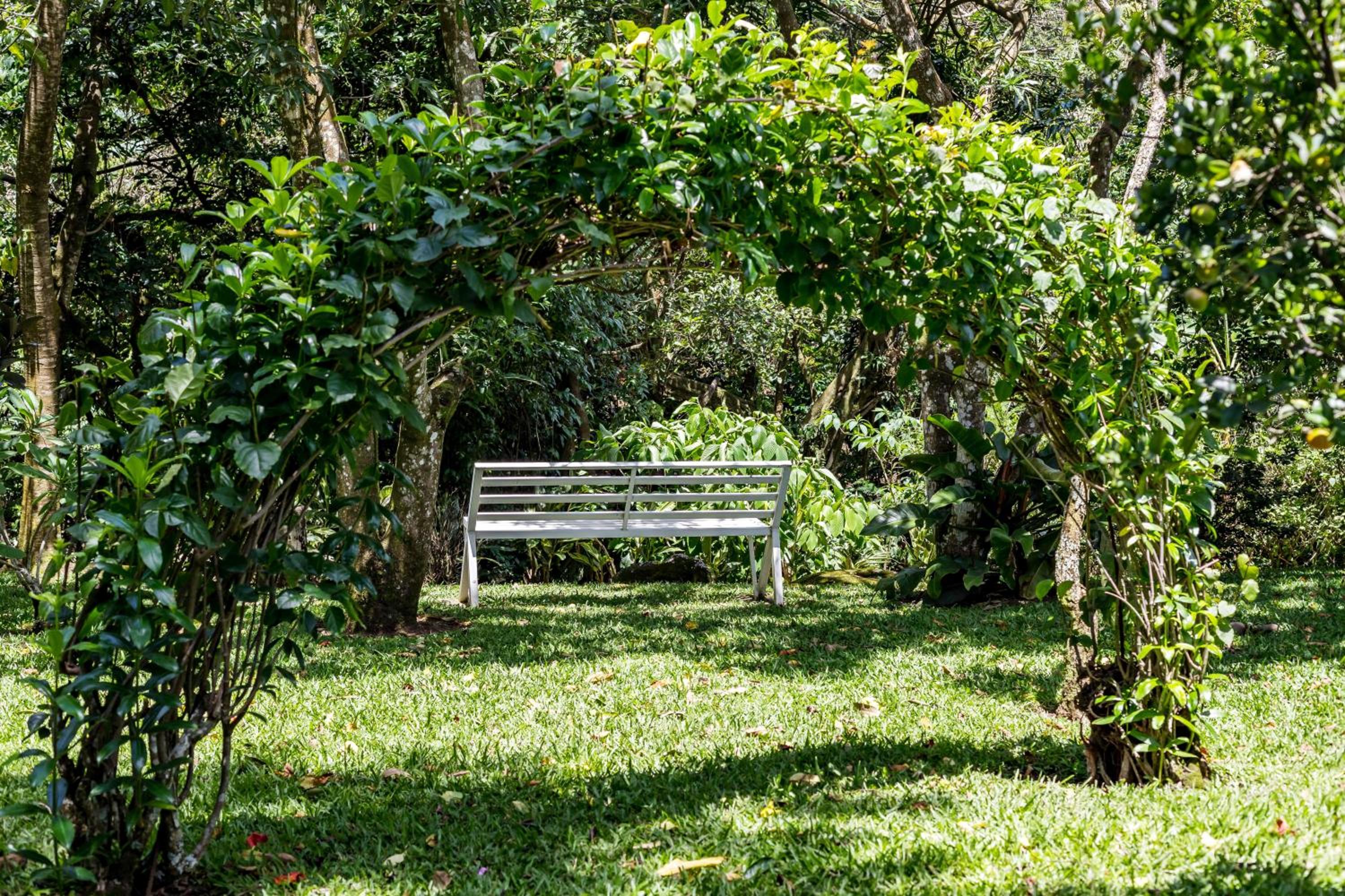 La Terraza Guest House B&B view 5