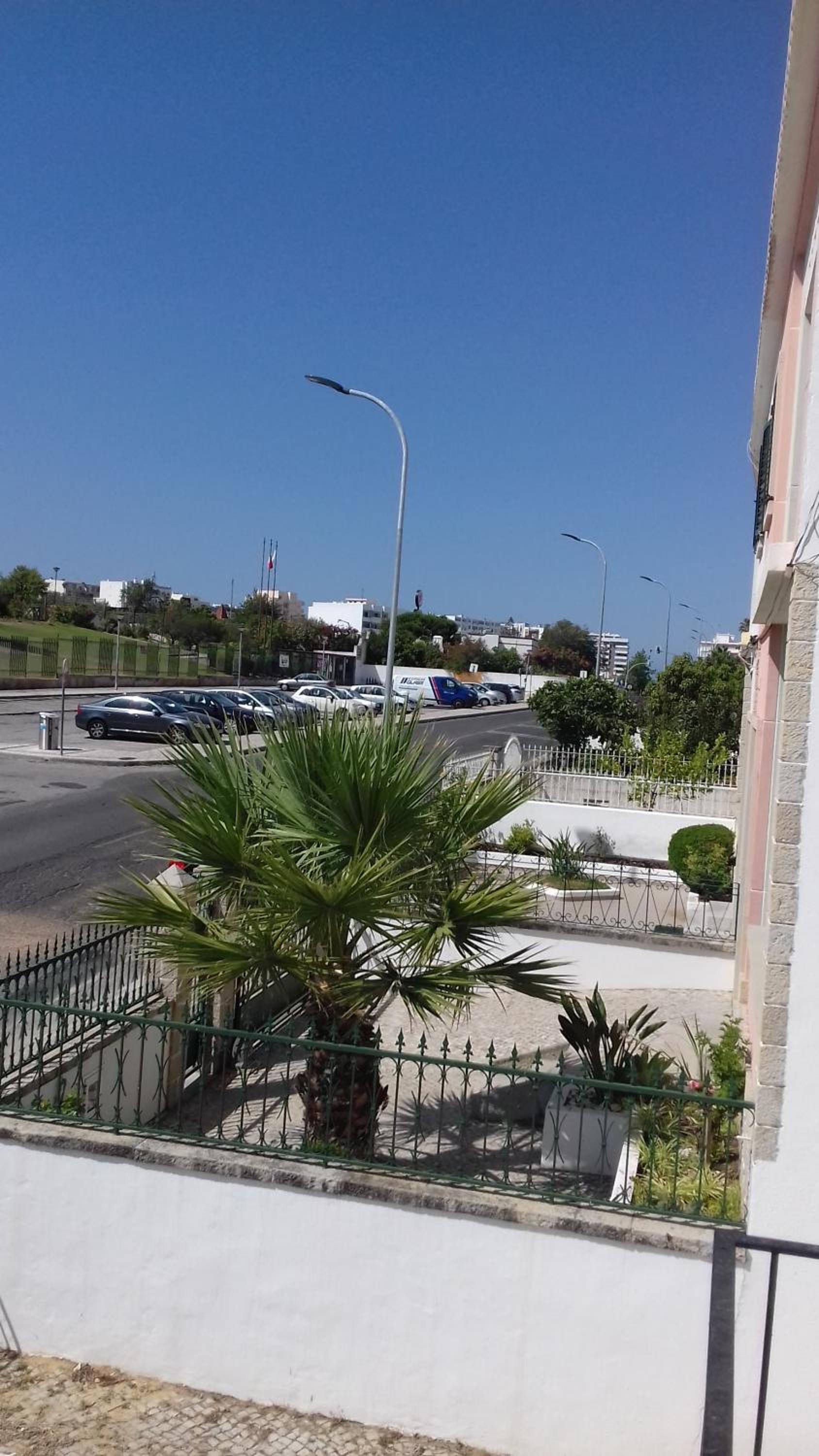 Palmeira view 3
