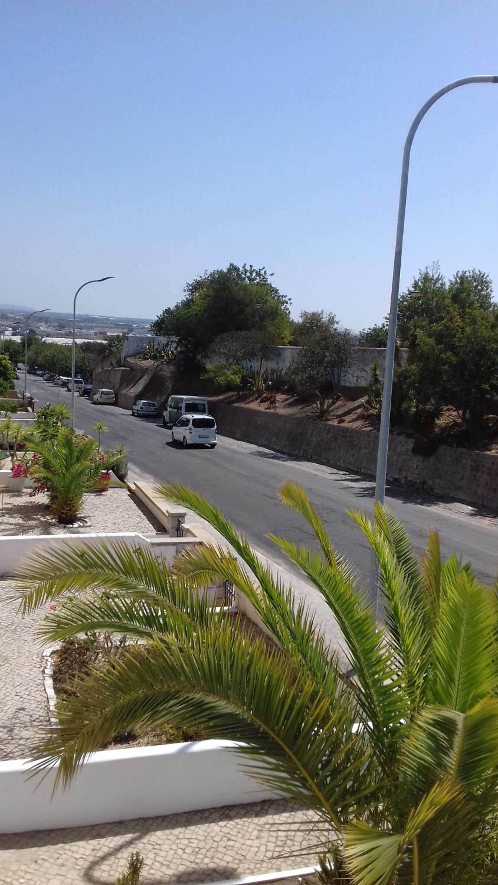 Palmeira view 2