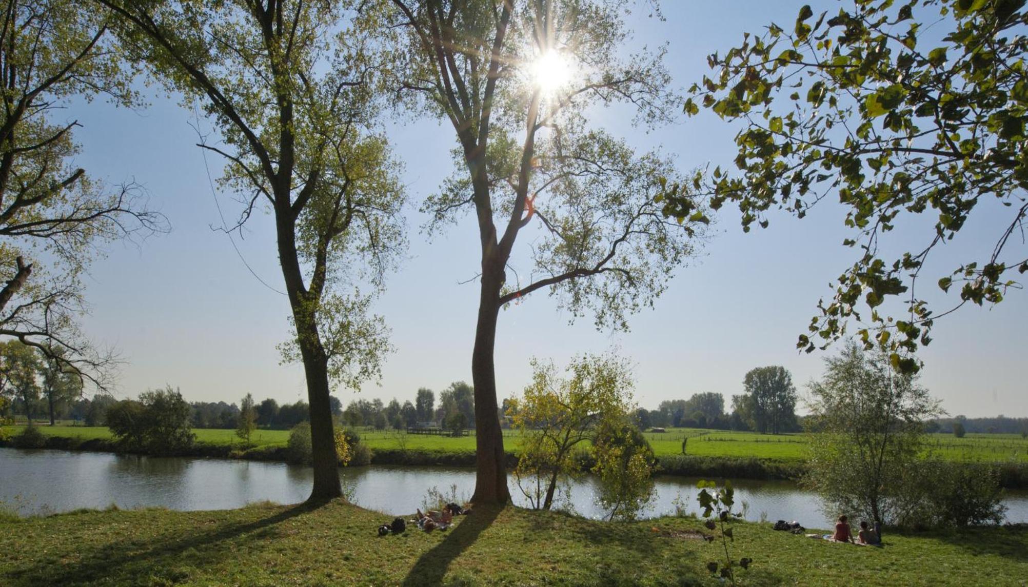 Mooiwater