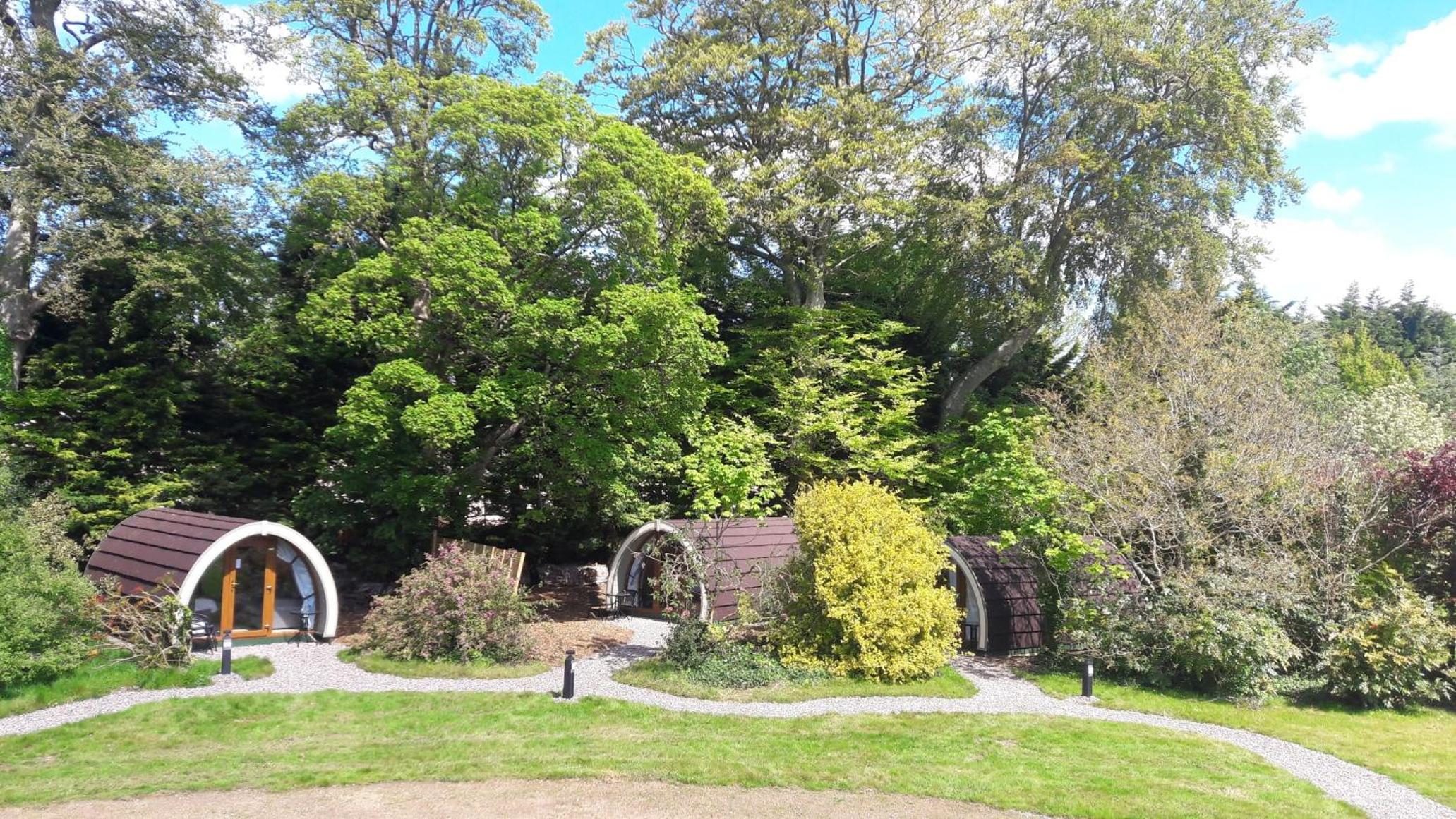 Photo 16