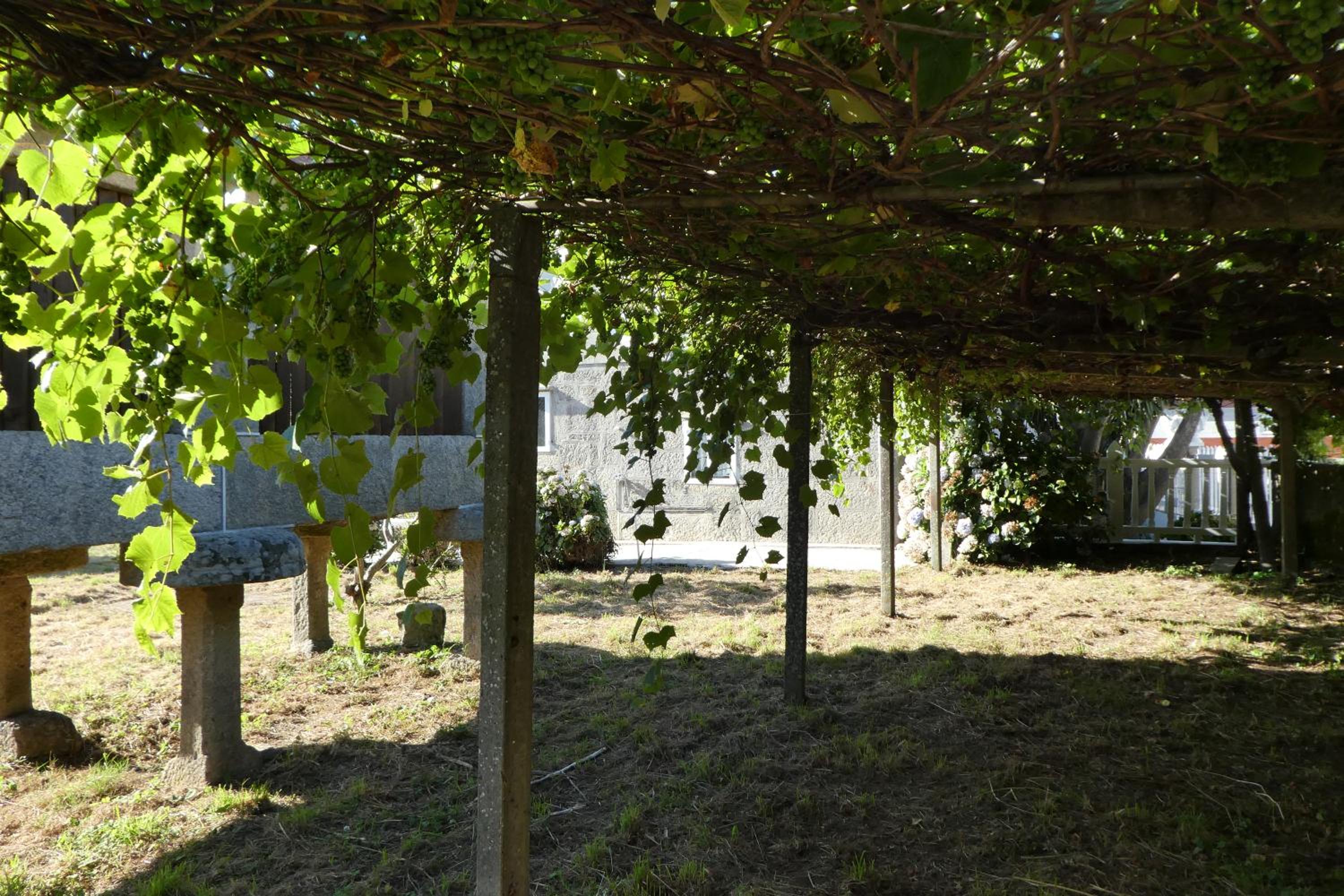 Casa rural Don Armando