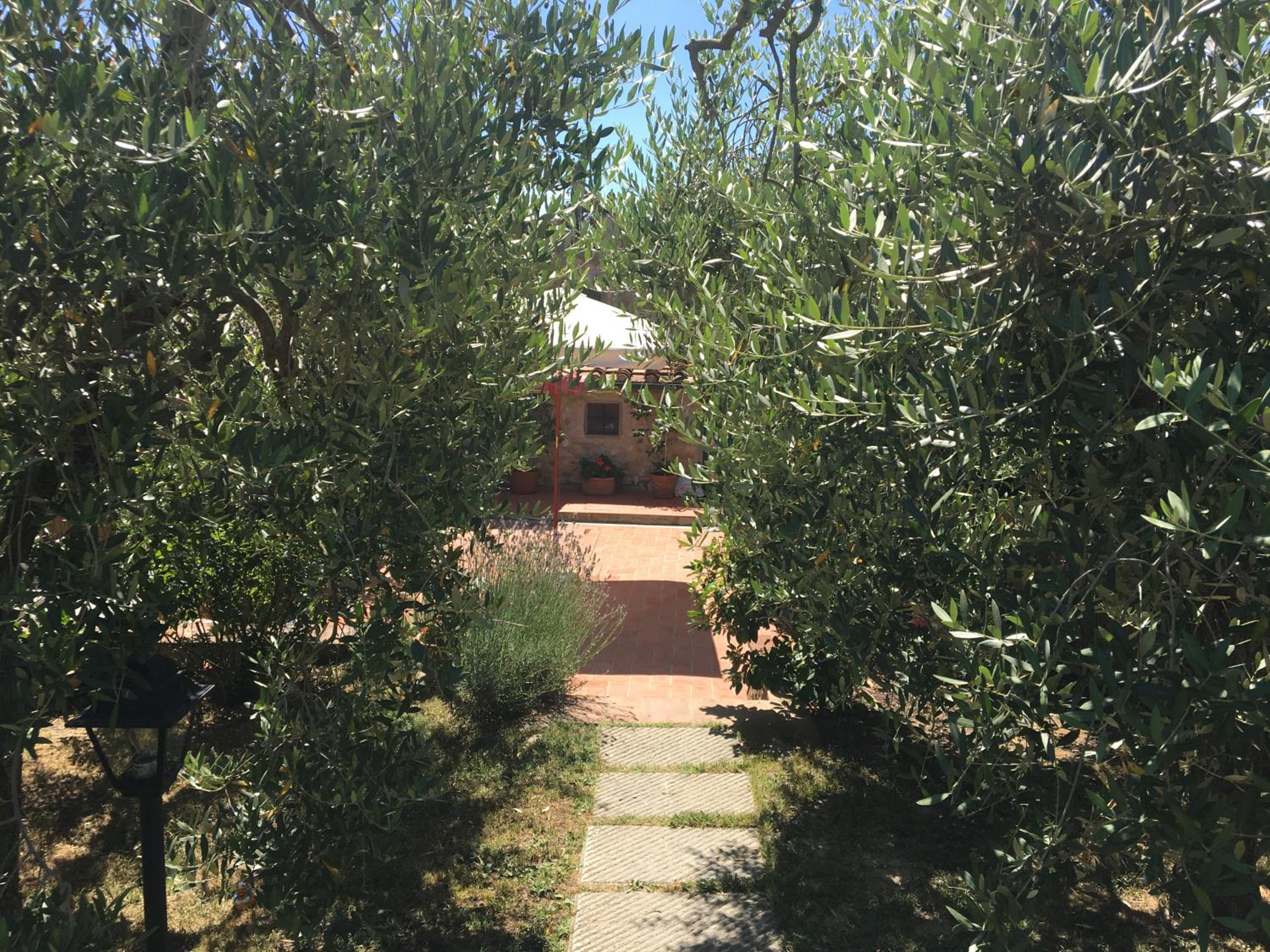Photo 46