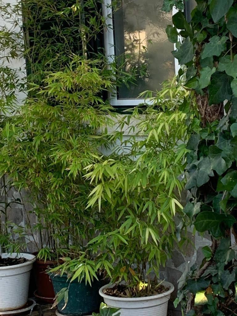 House BLZ, photo 35