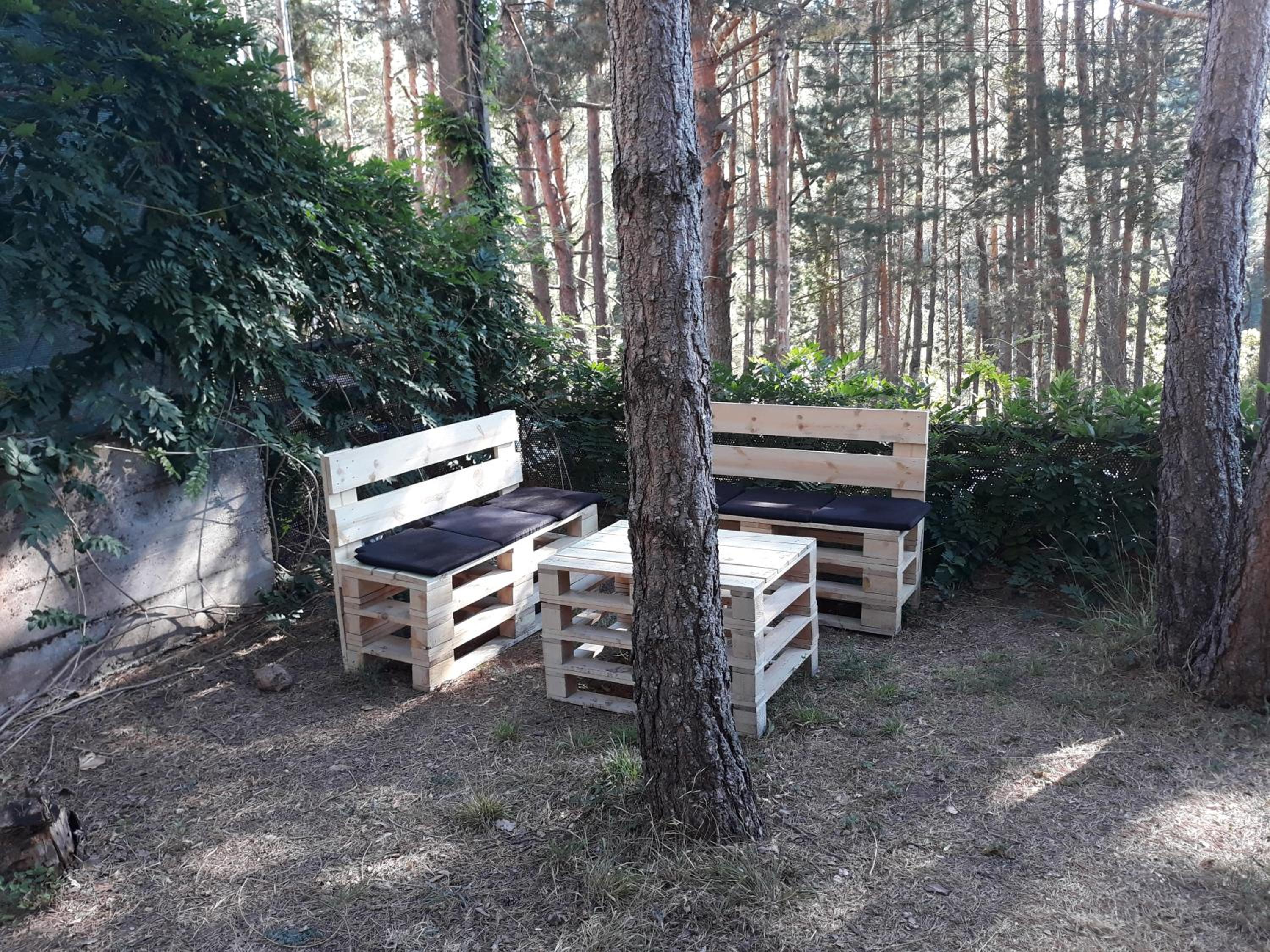 Photo 21