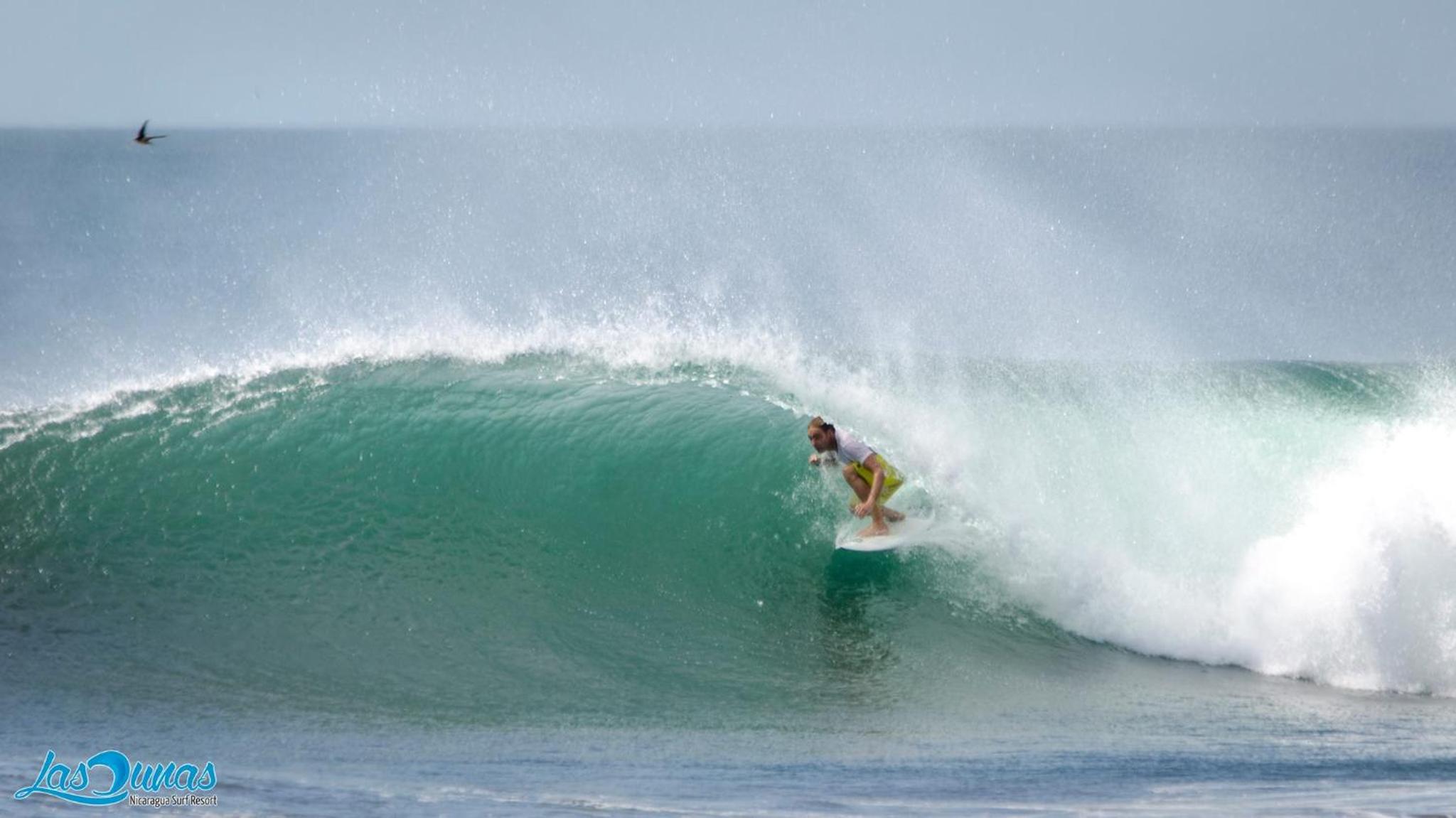 Las Dunas Surf Resort