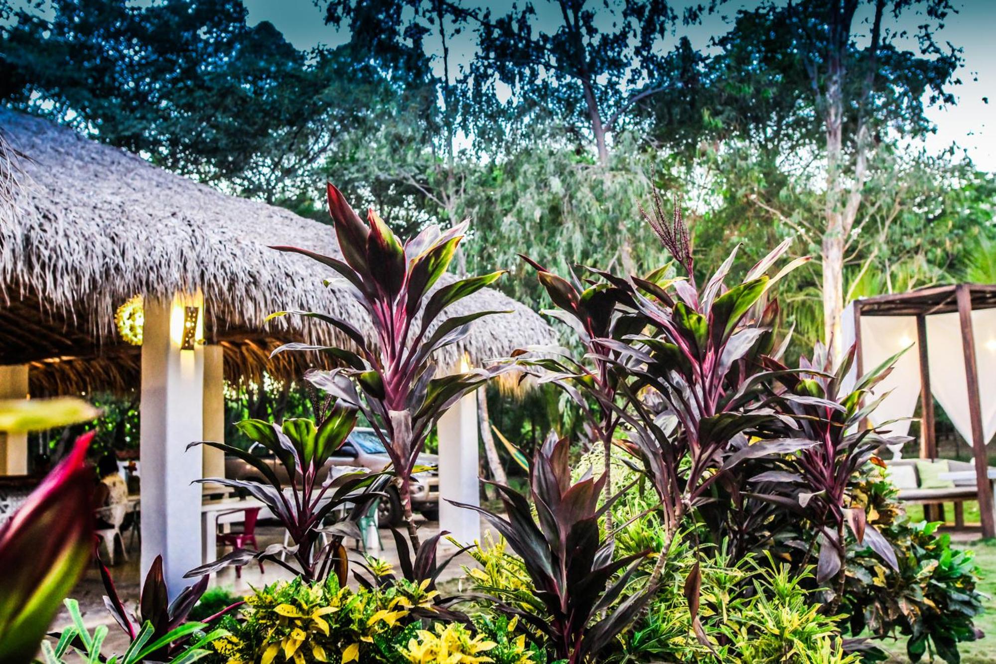 Las Dunas Surf Resort