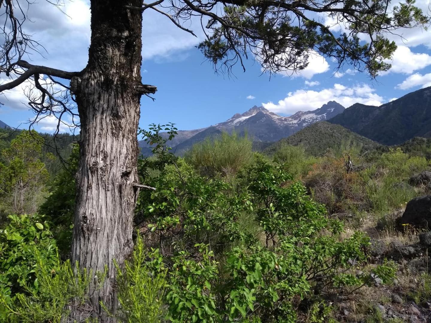 Rincon del Montañes view 2