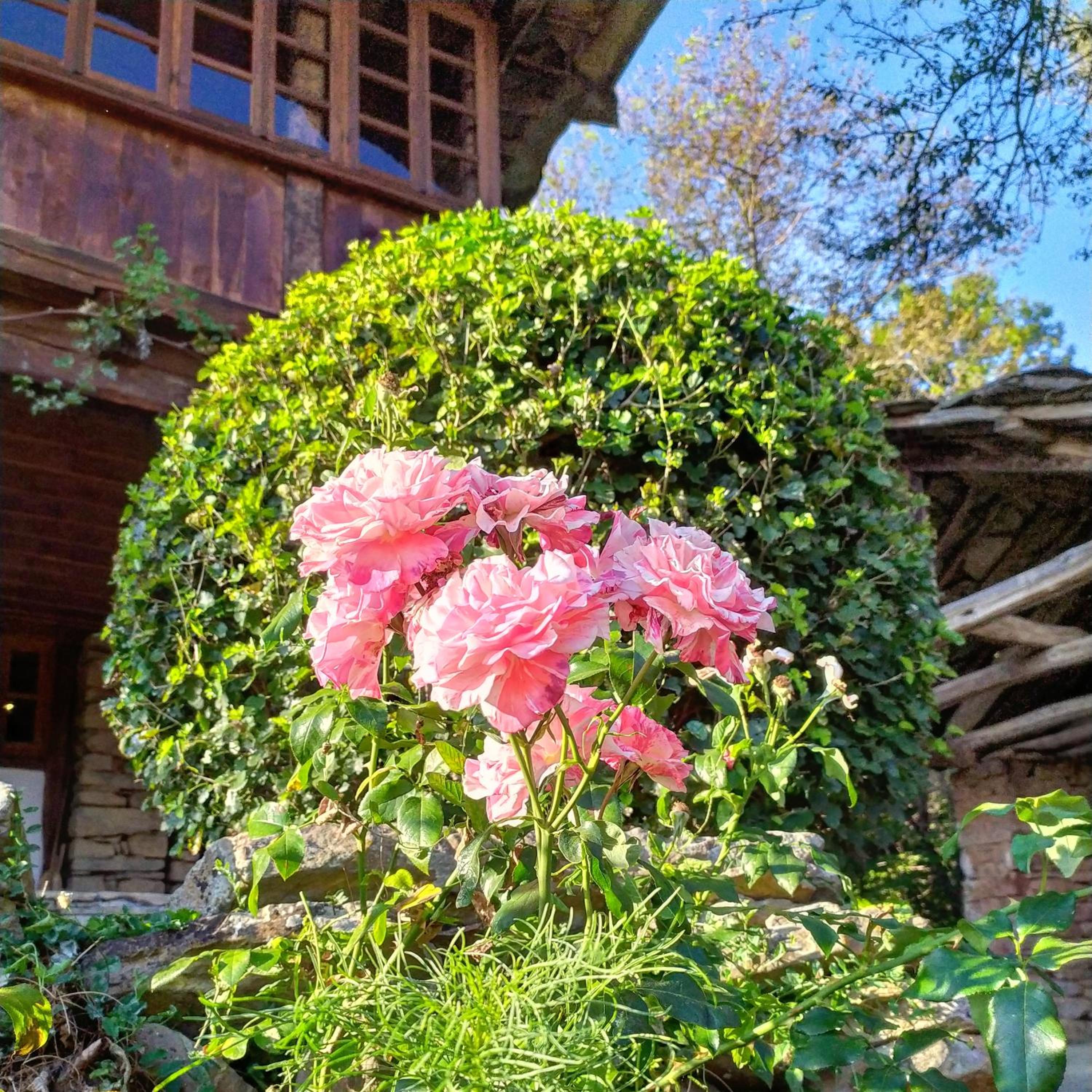 Authentic House with Stunning Mountain View - Karashka