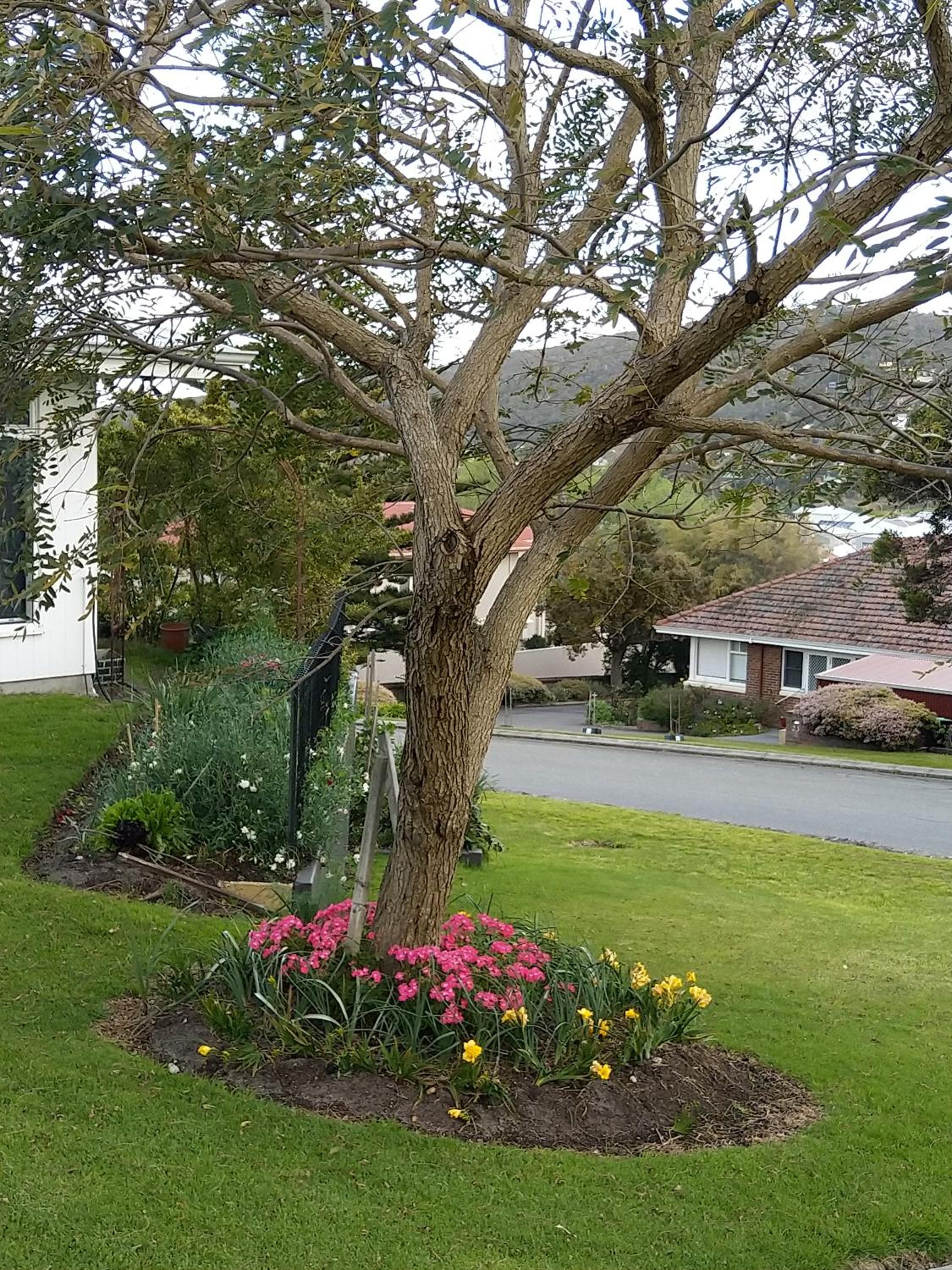 C'est La Vie Bed & Breakfast
