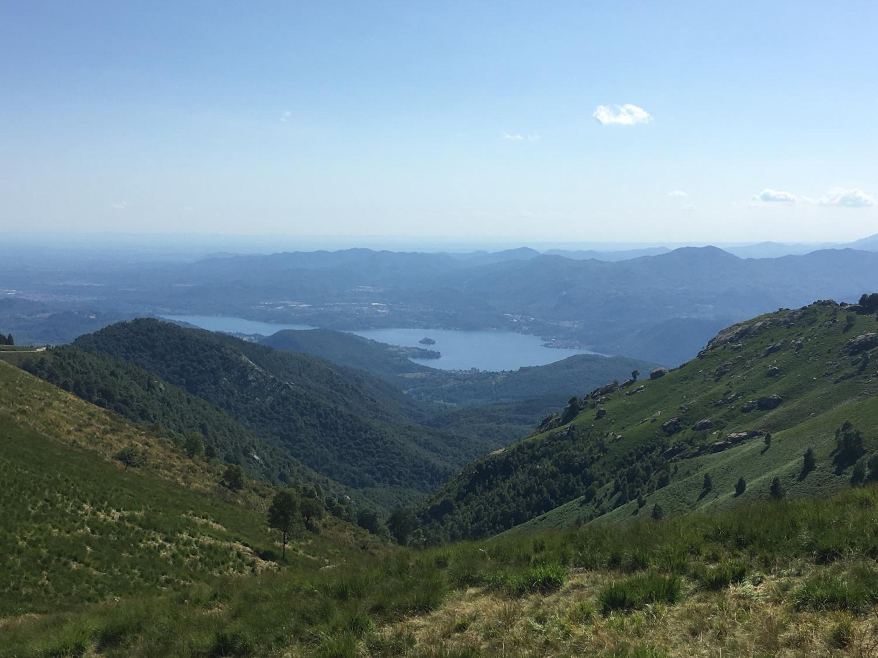 Il riccio di Ricciano