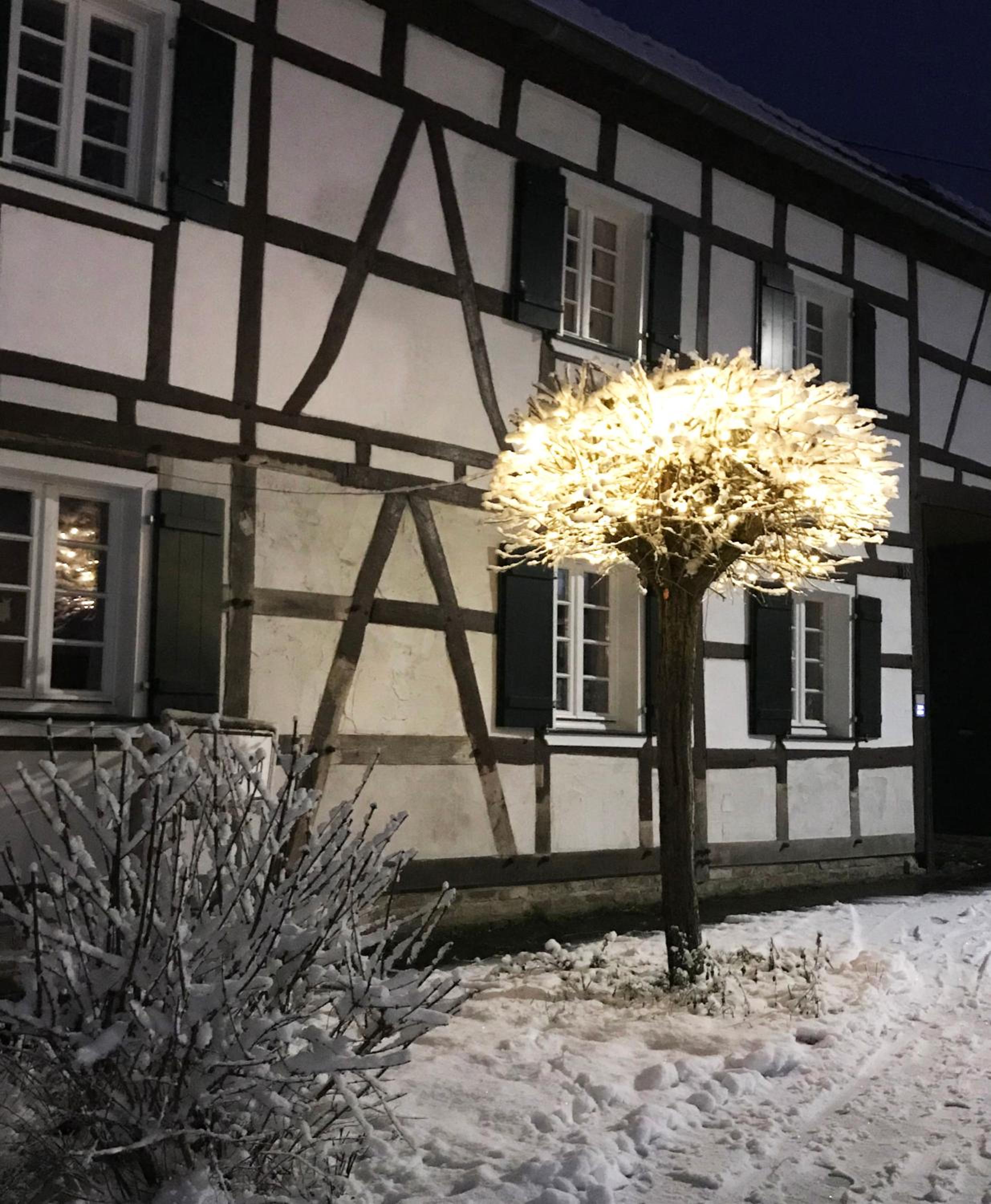 Gemütliche Fachwerkwohnung view 5